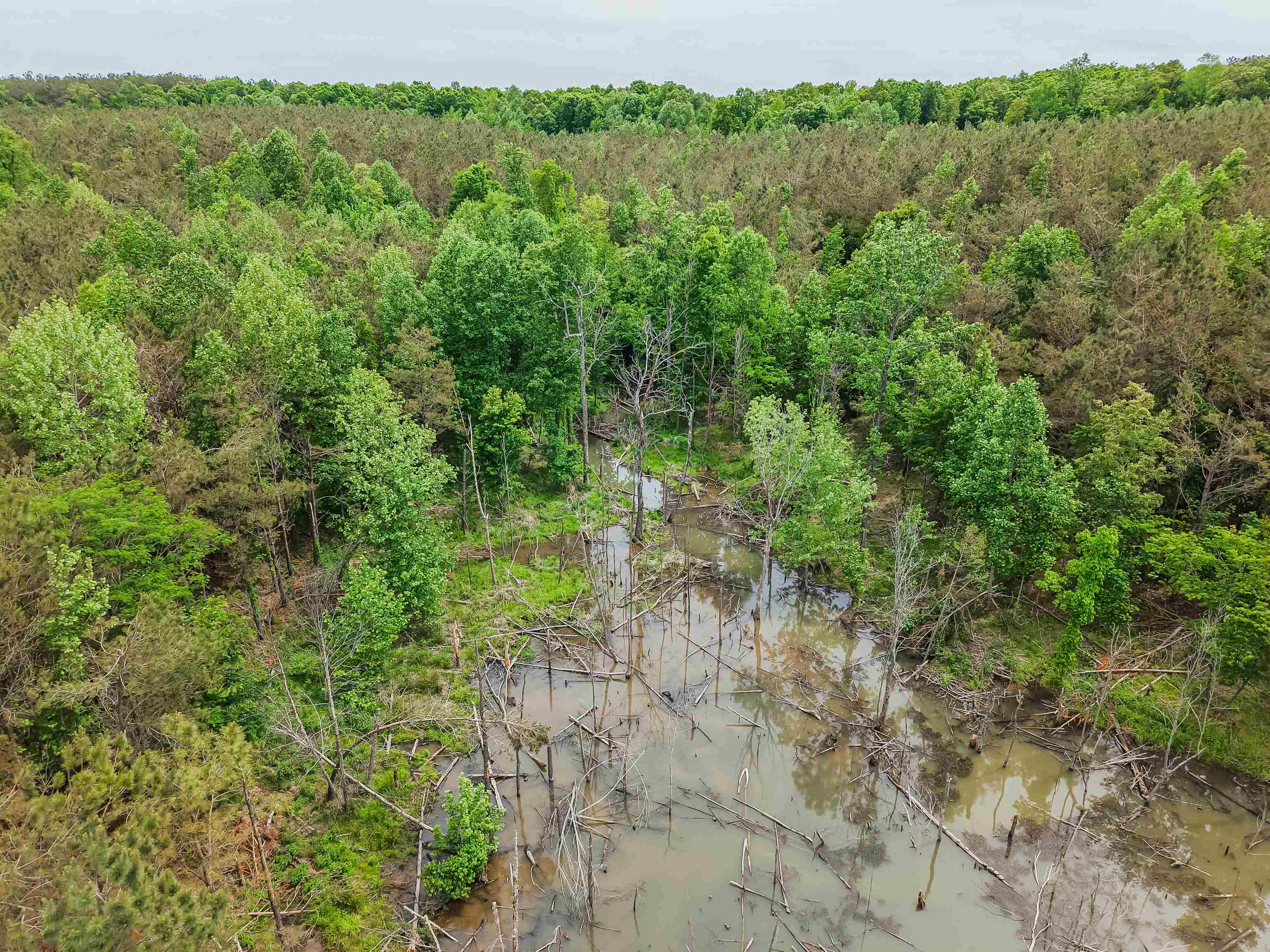 Connie Smith Rd Property Photo 23