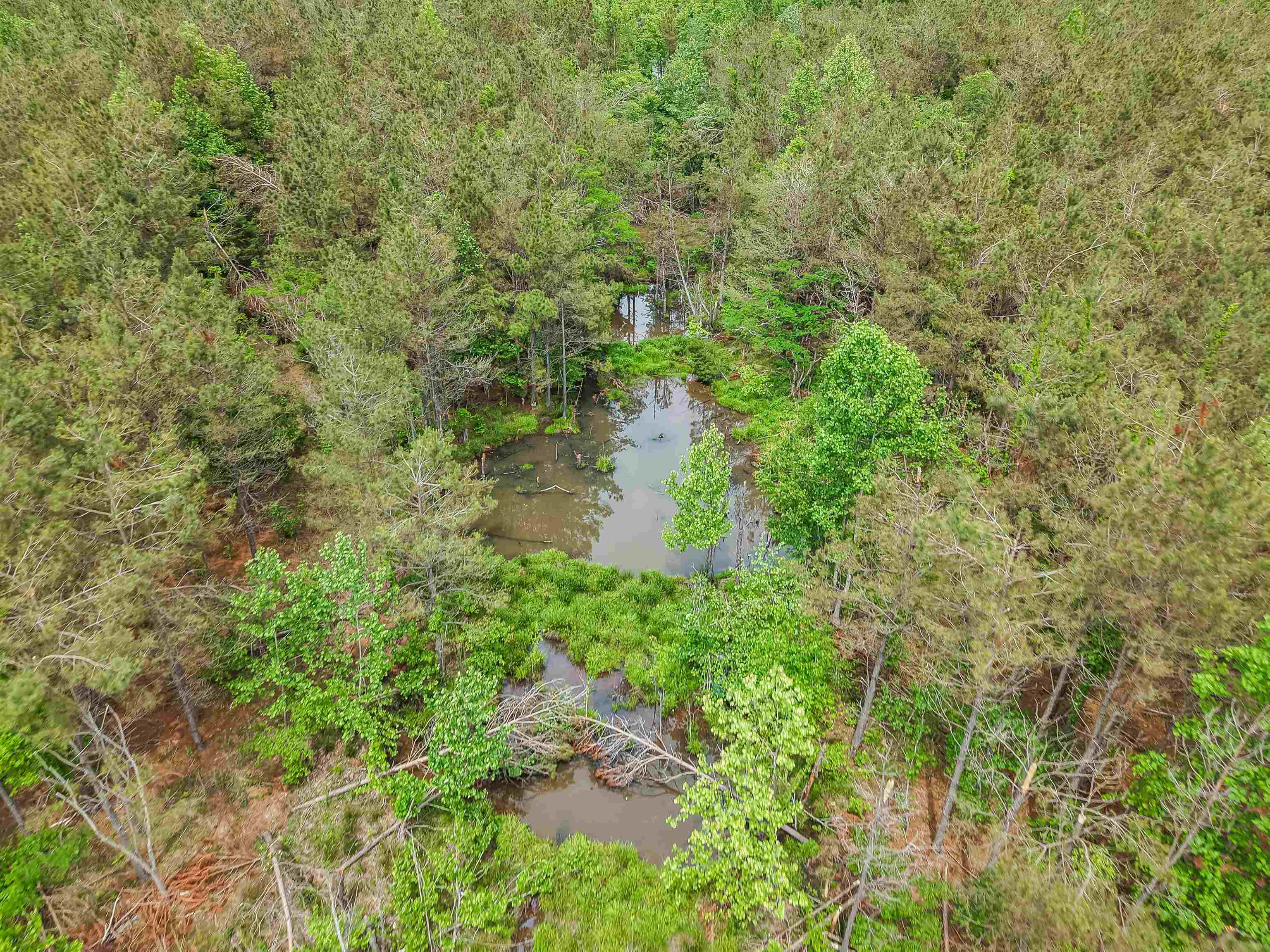 Connie Smith Rd Property Photo 24