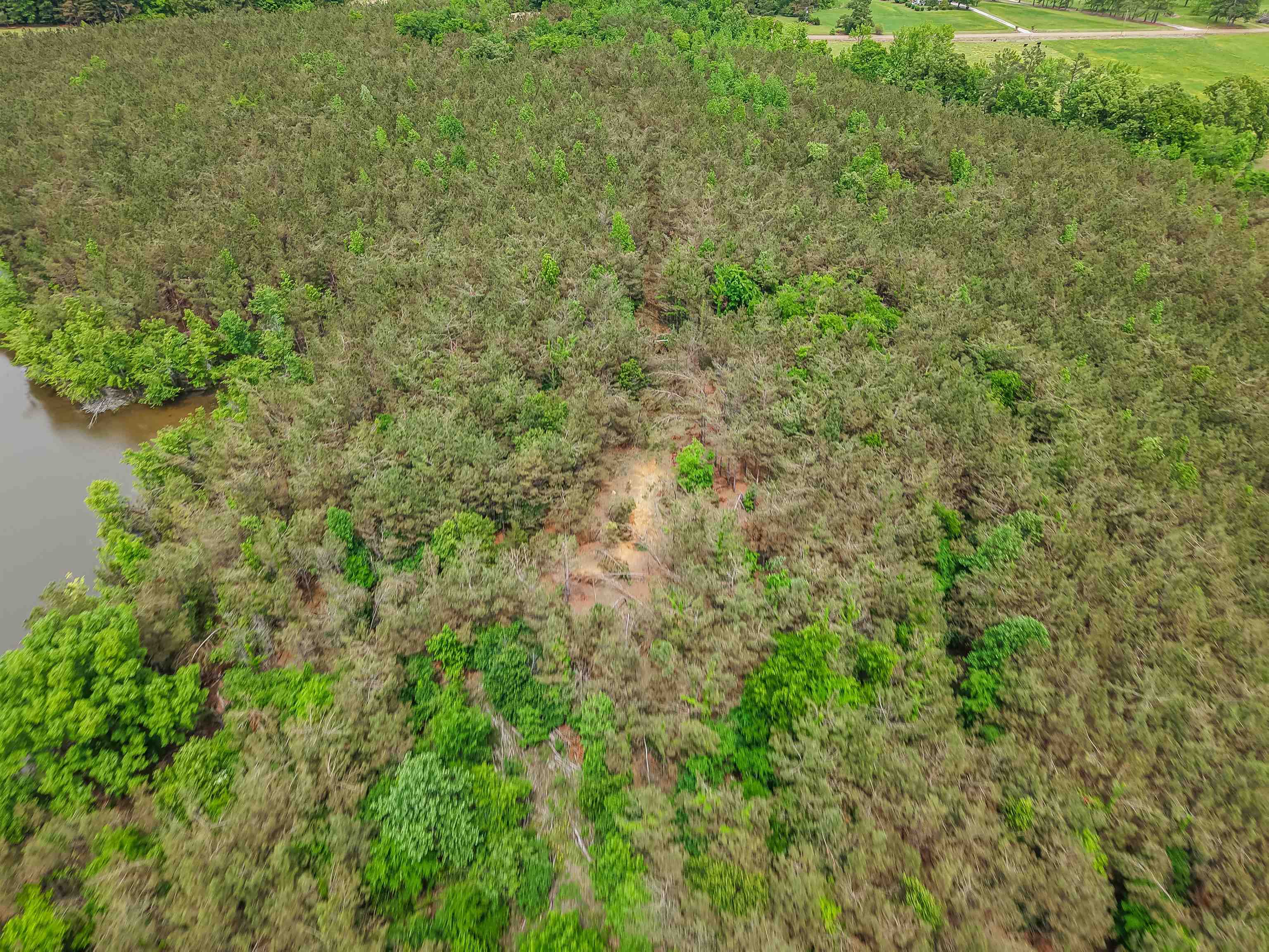 Connie Smith Rd Property Photo 25