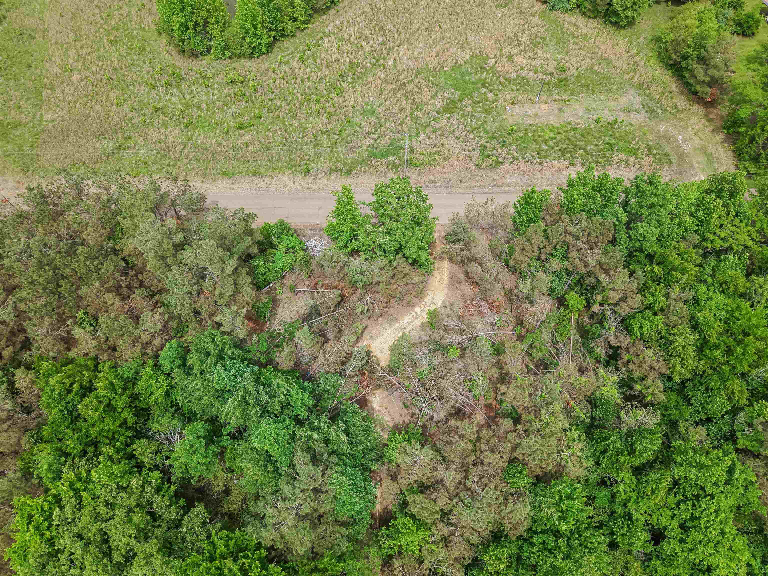 Connie Smith Rd Property Photo 26