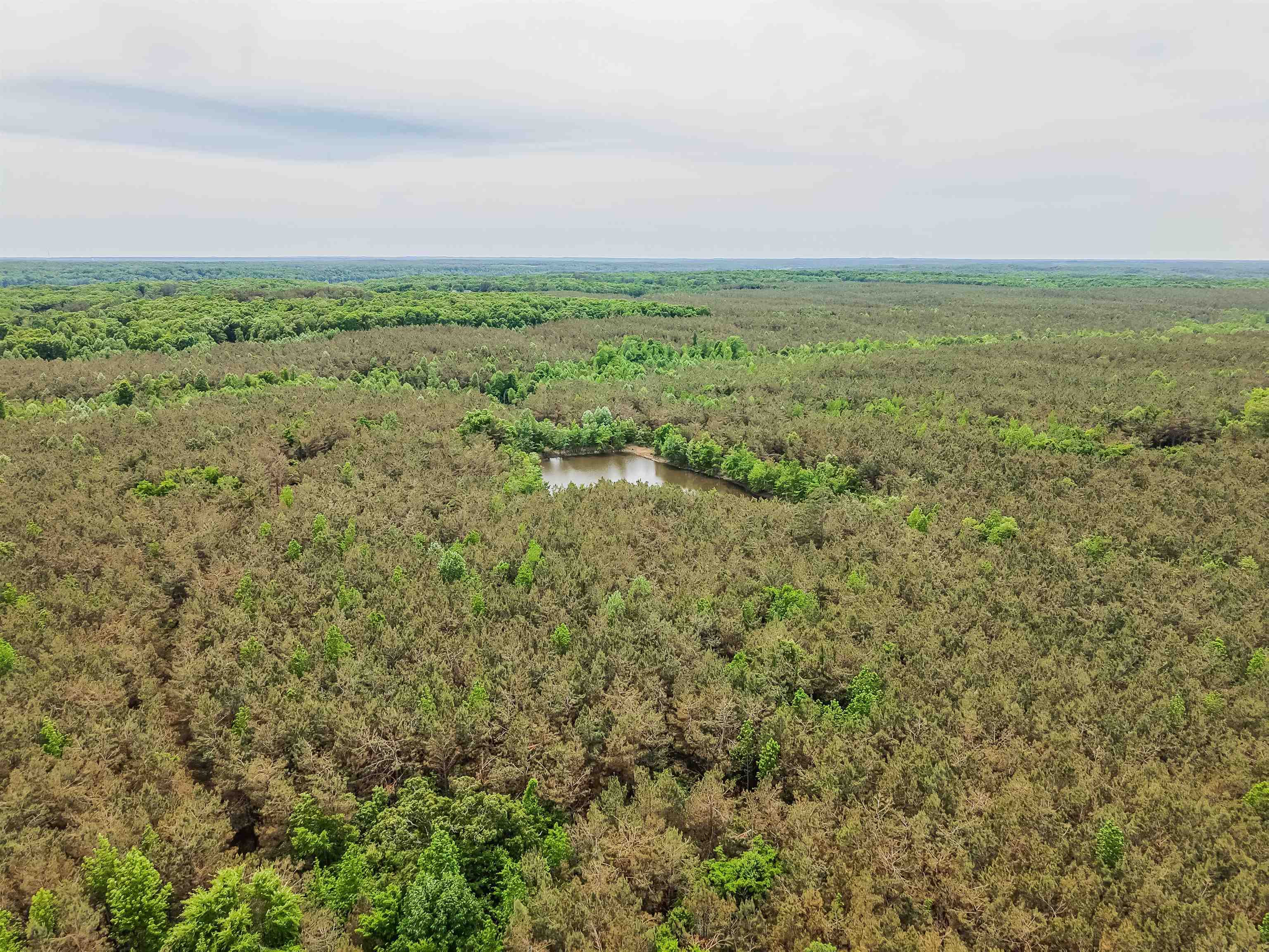Connie Smith Rd Property Photo 27