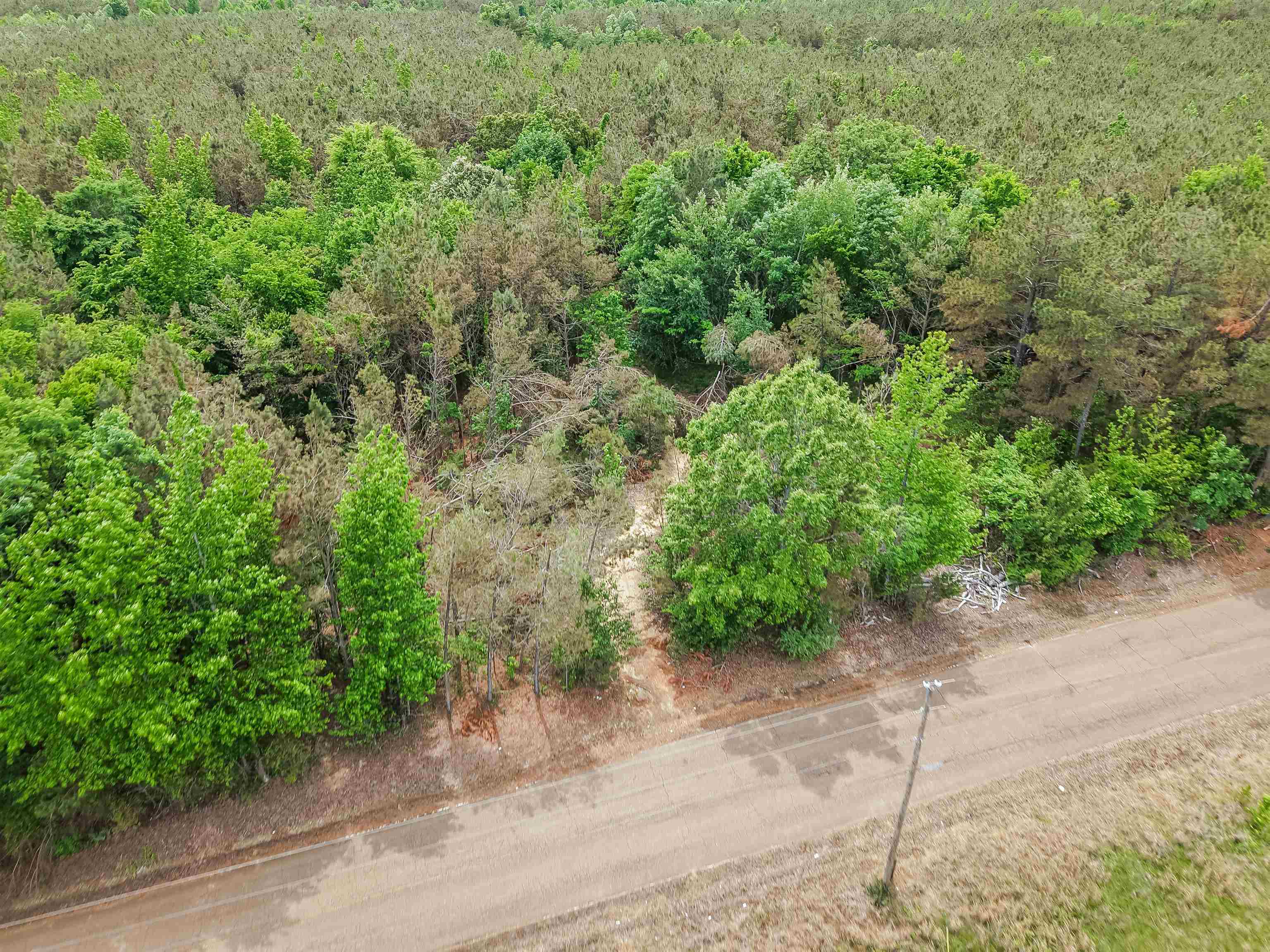 Connie Smith Rd Property Photo 28