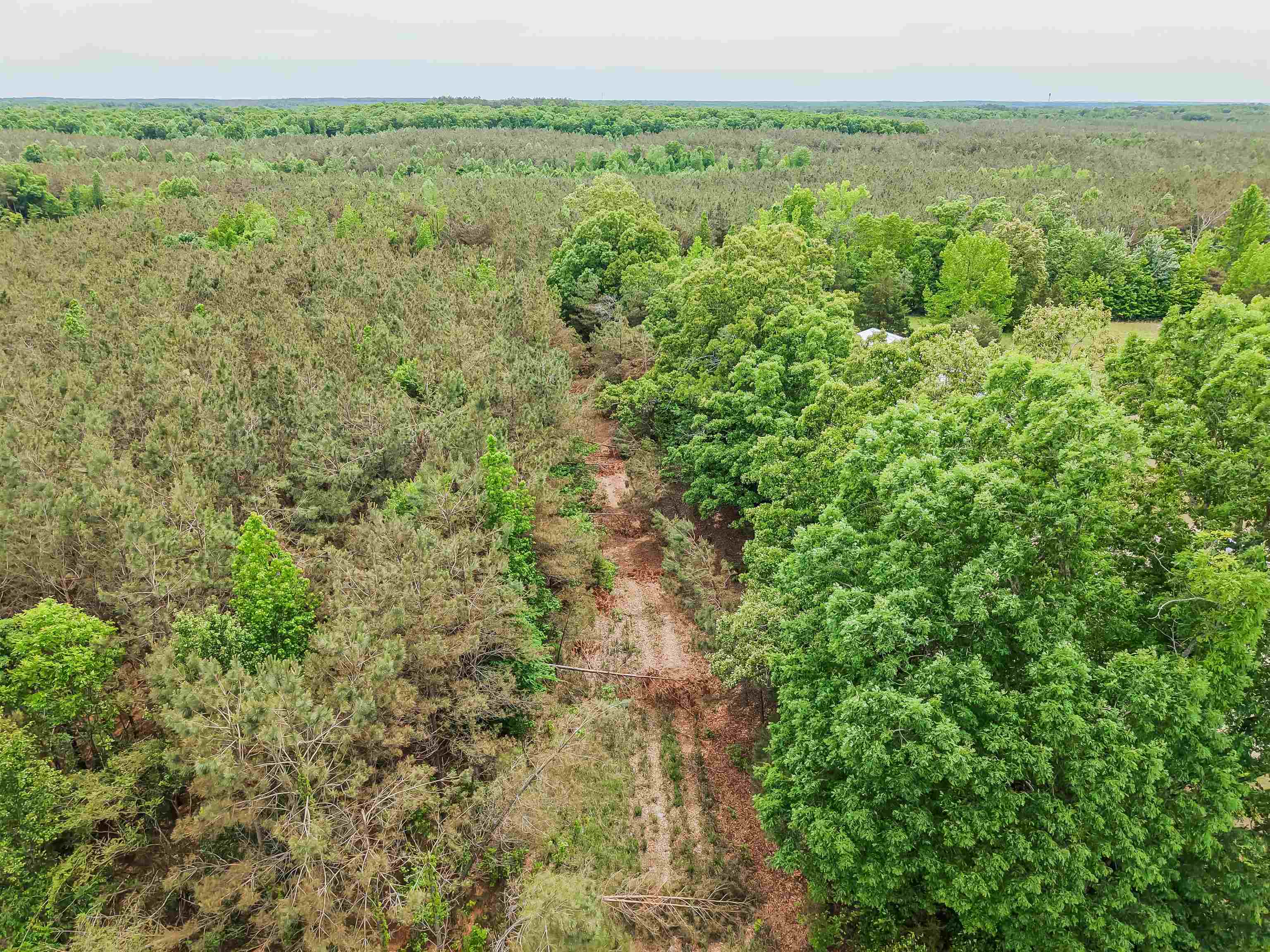 Connie Smith Rd Property Photo 29
