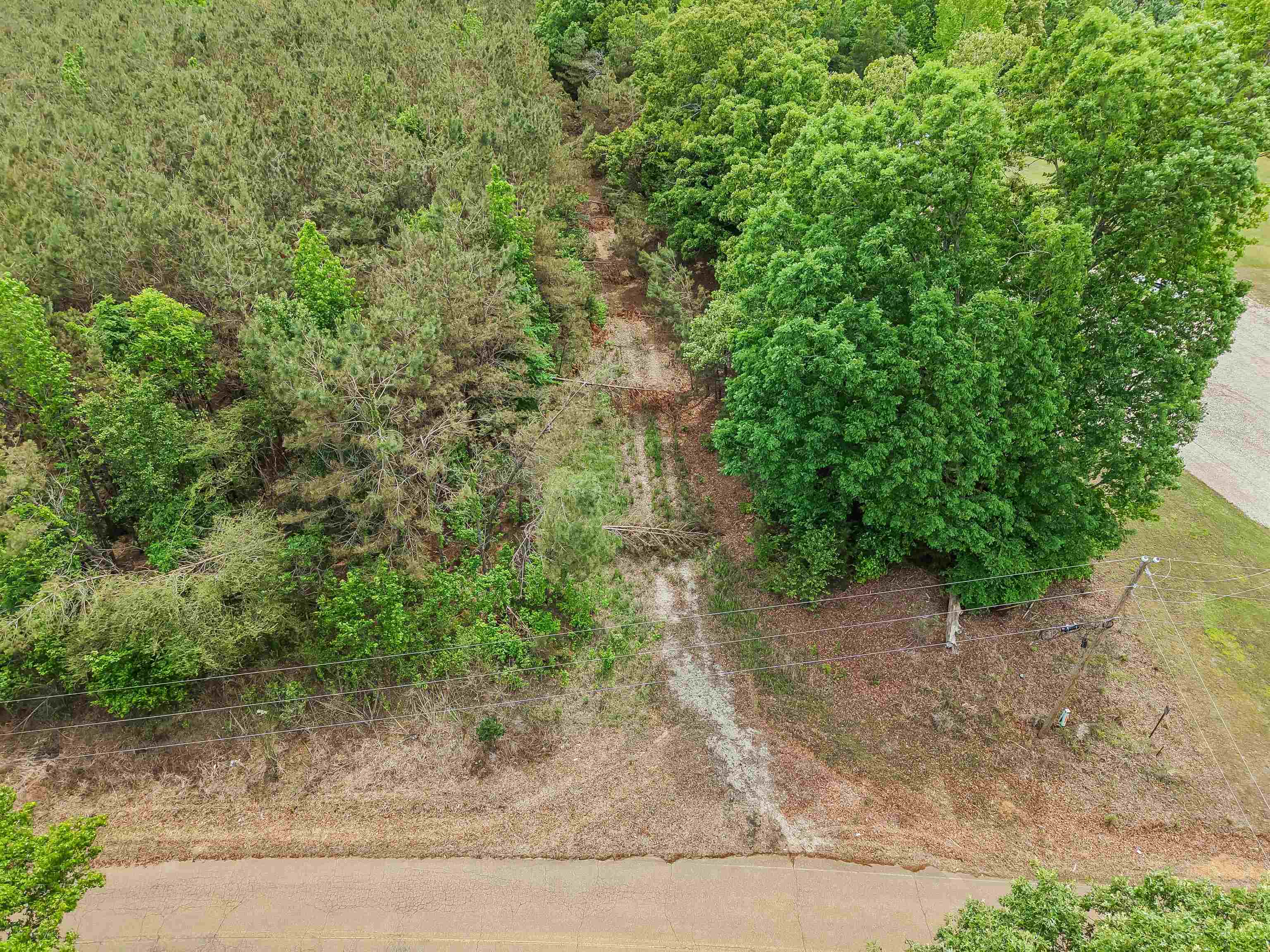 Connie Smith Rd Property Photo 30