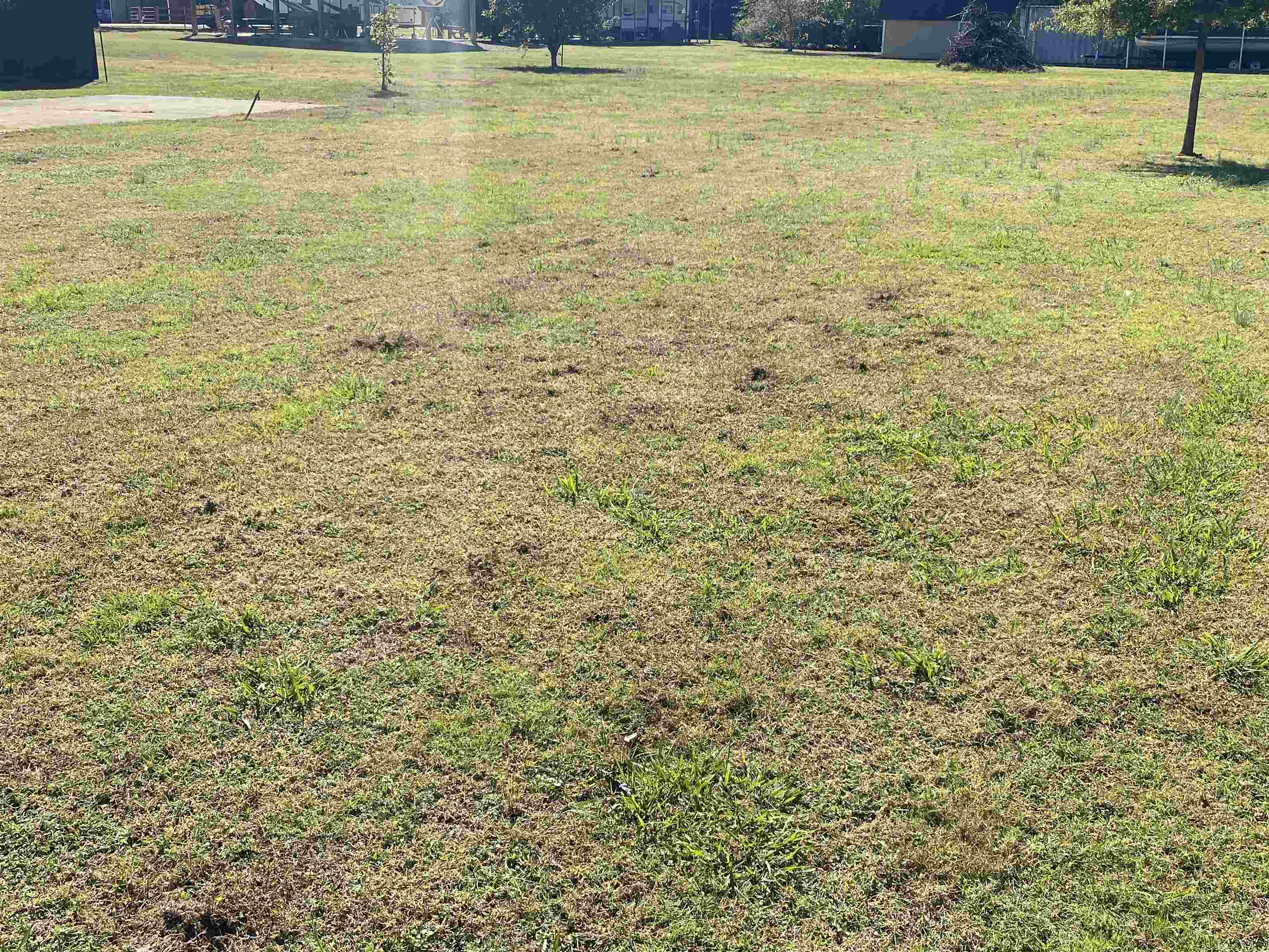 2 Catfish Ln Property Photo 9