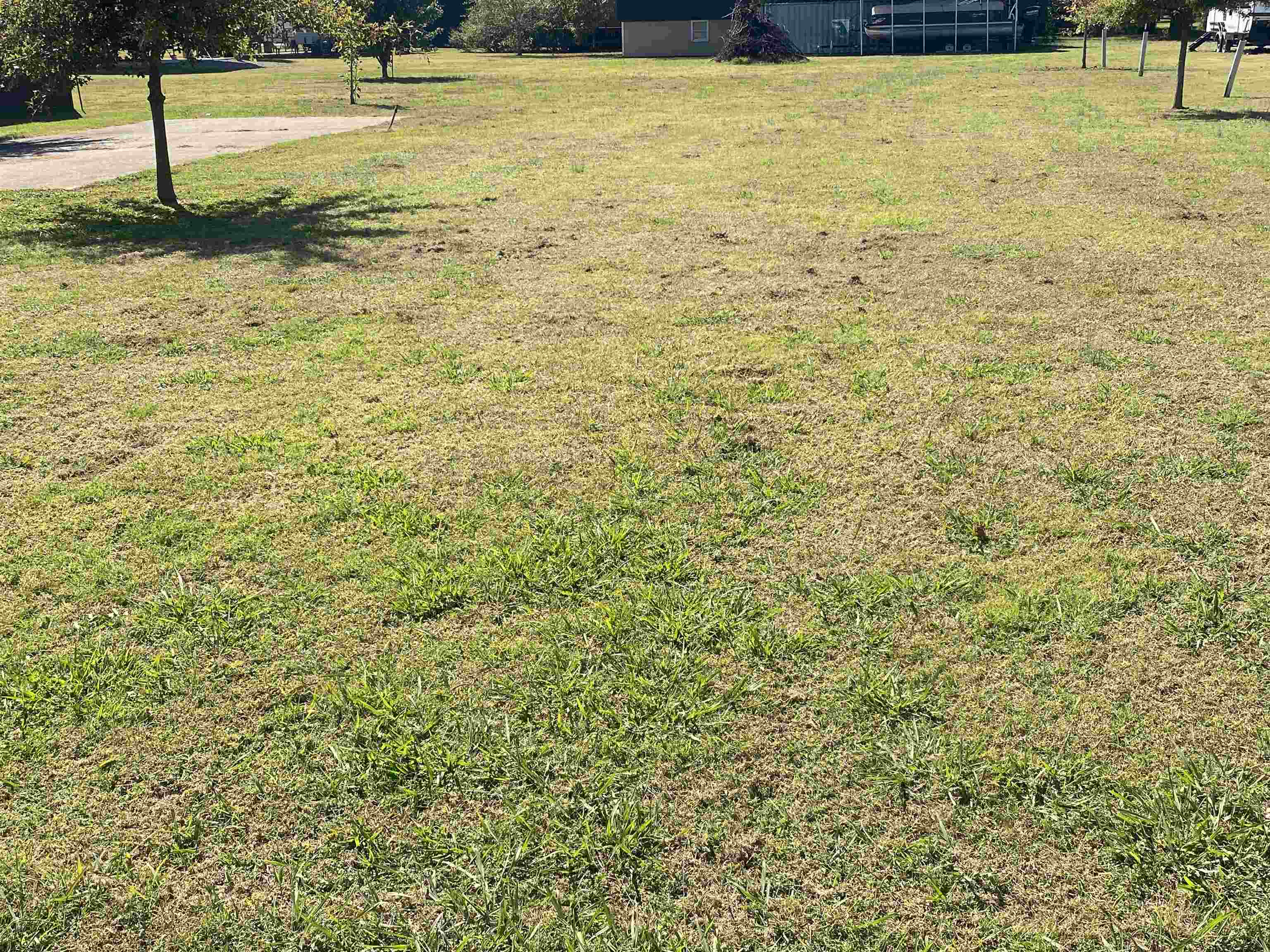 2 Catfish Ln Property Photo 10