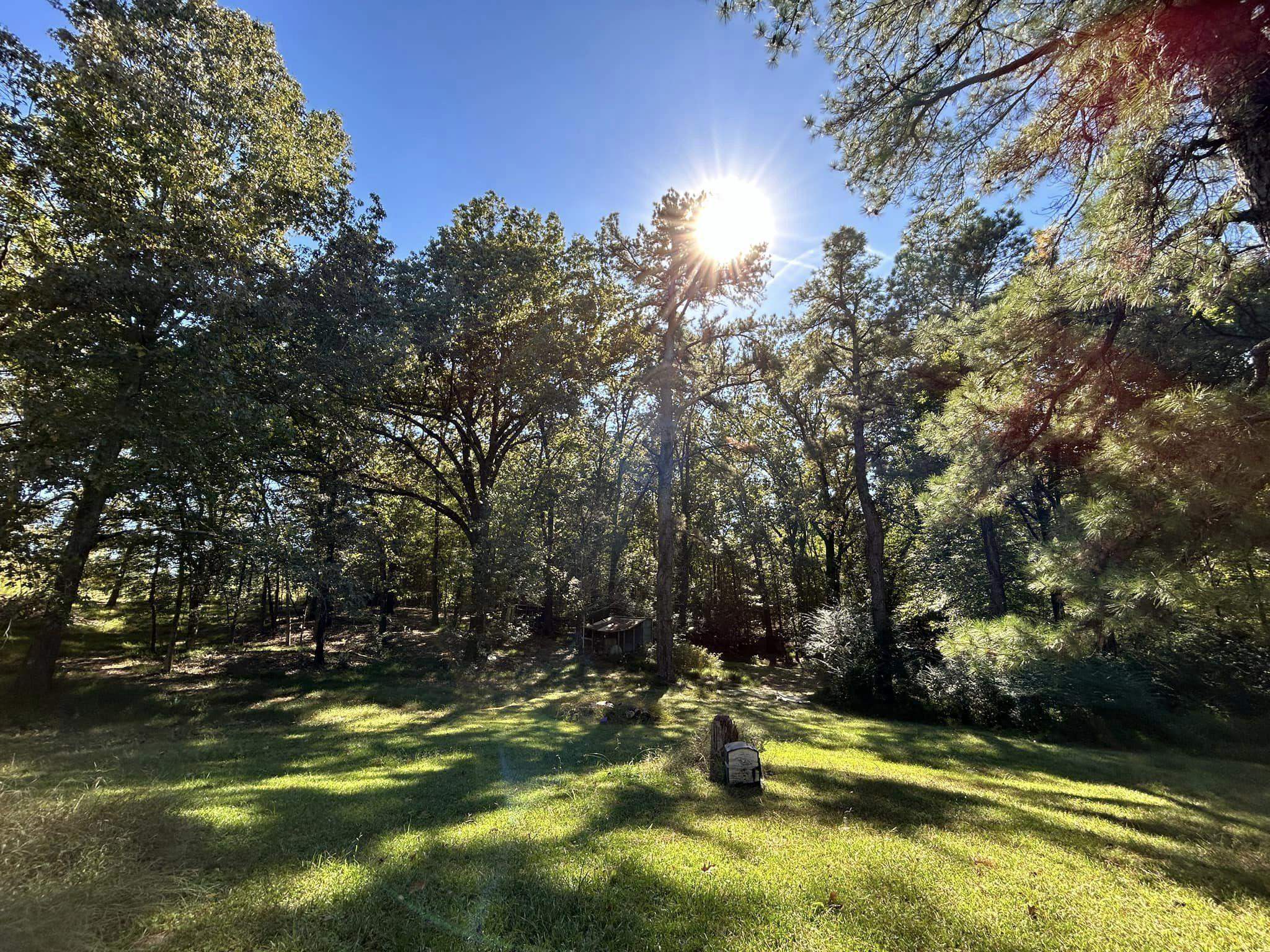 11361 Macon Rd Property Photo 5