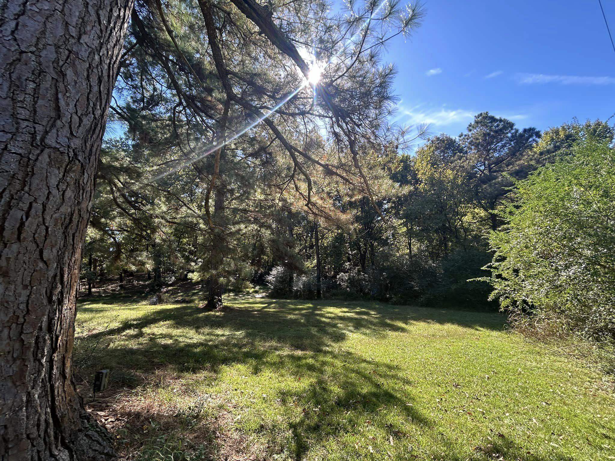 11361 Macon Rd Property Photo 6
