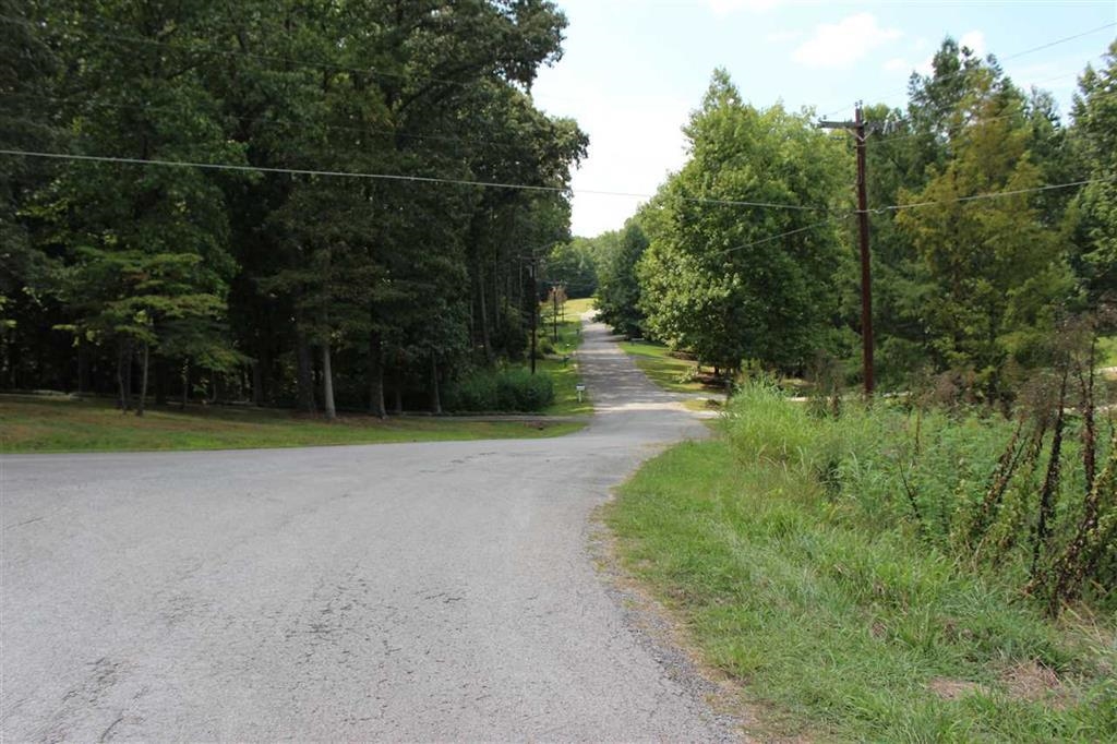 0 Willow Oak Dr Property Photo 2
