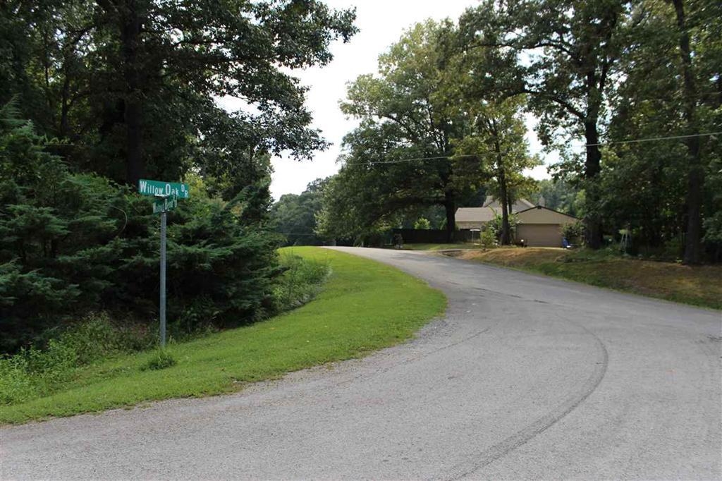 0 Willow Oak Dr Property Photo 3