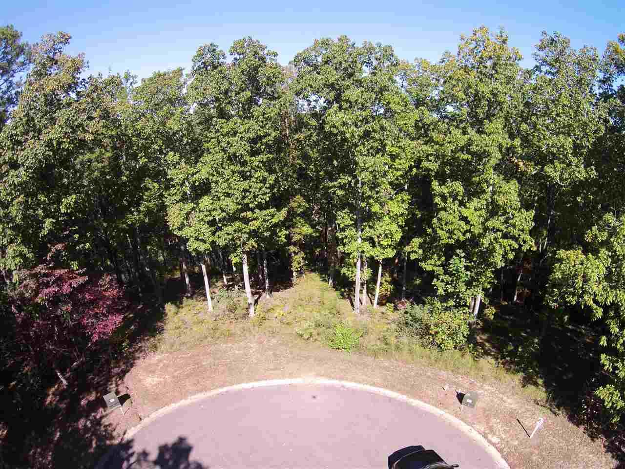 Lot 111 Bright View Ln Property Photo 17
