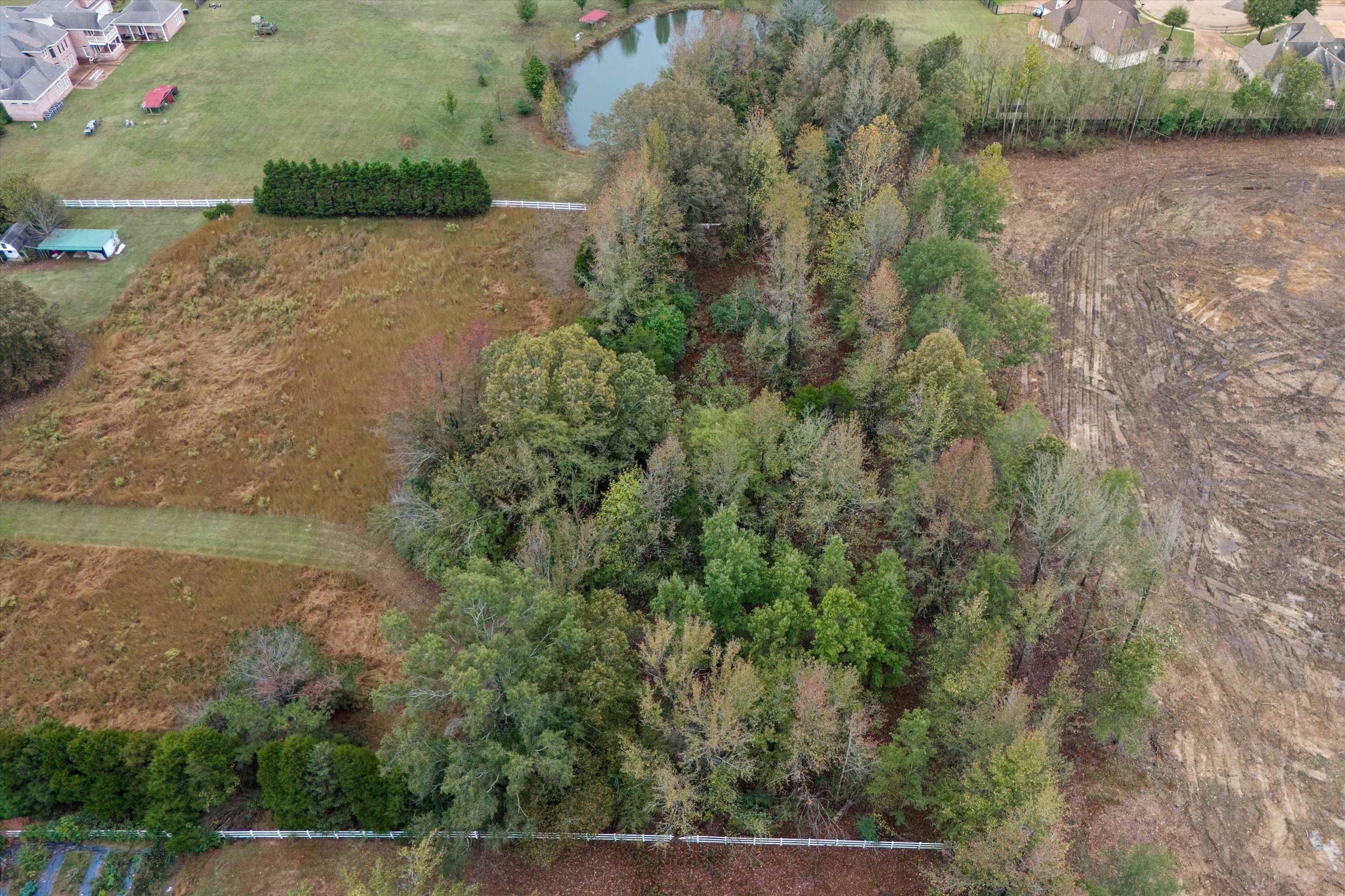 4543 Planters Trace Ln Property Photo 10