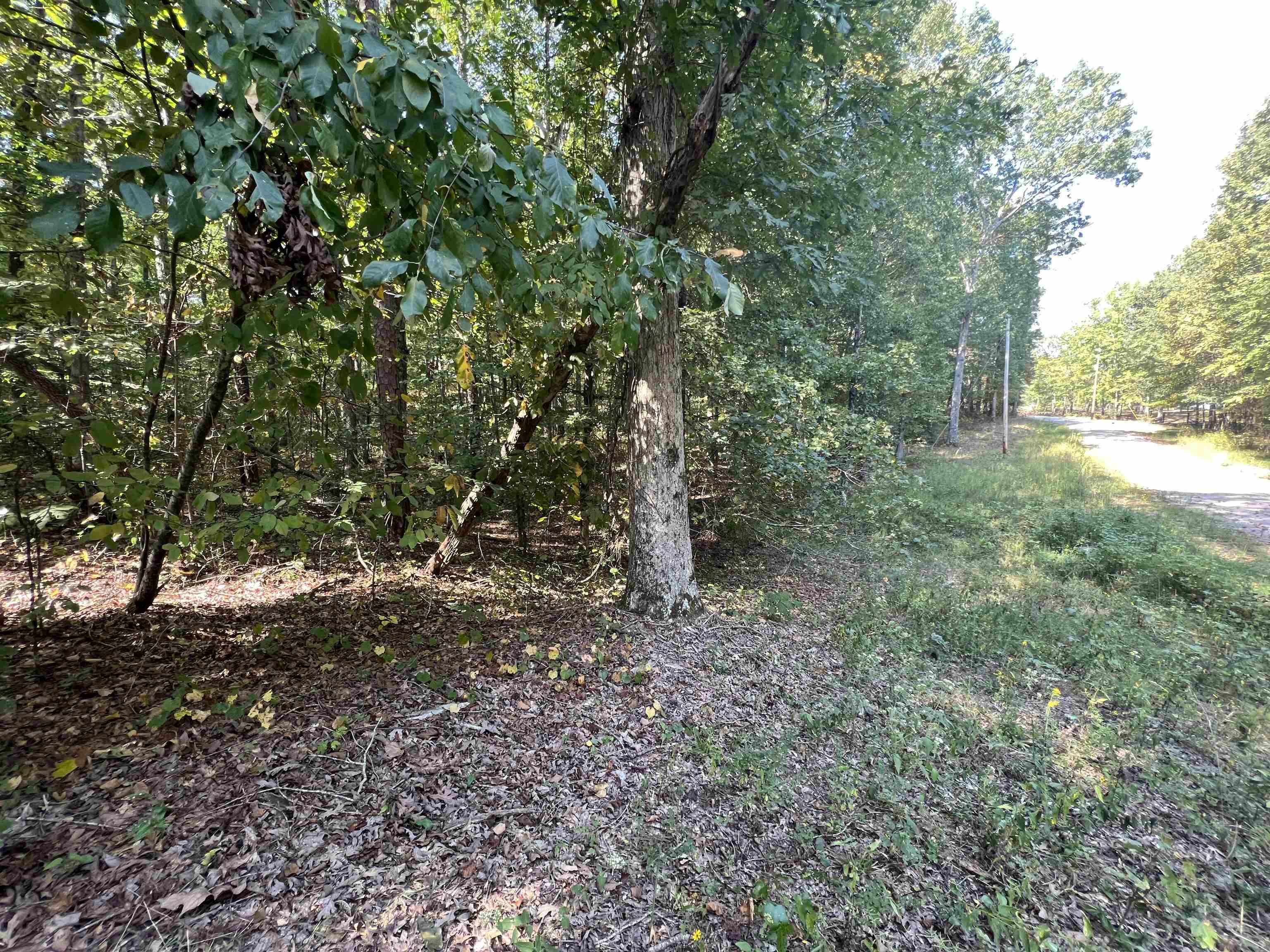 0058 Joanne Loop Property Photo 6