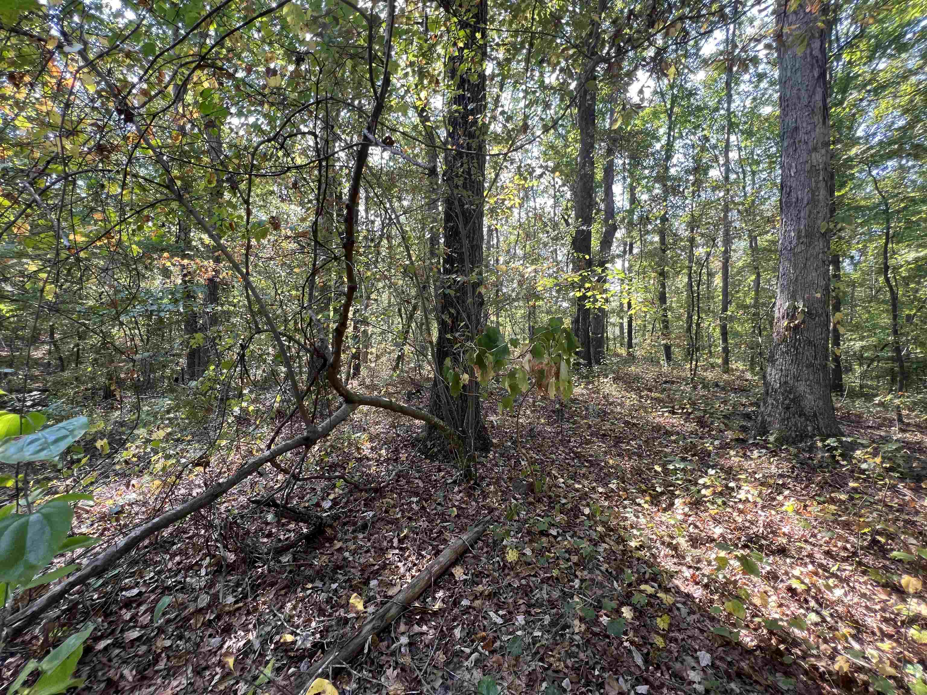 0058 Joanne Loop Property Photo 11