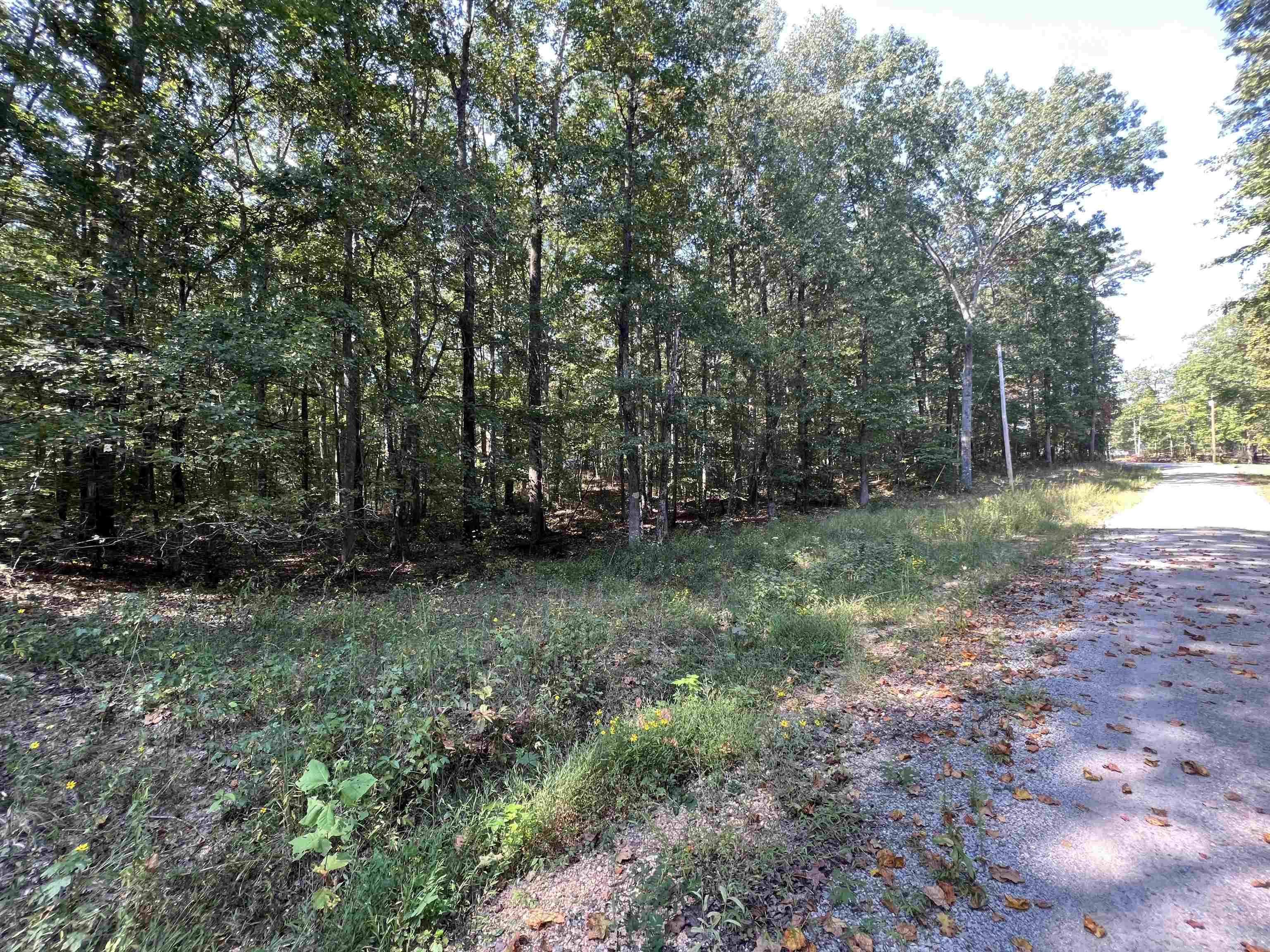 0059 Joanne Loop Property Photo 4
