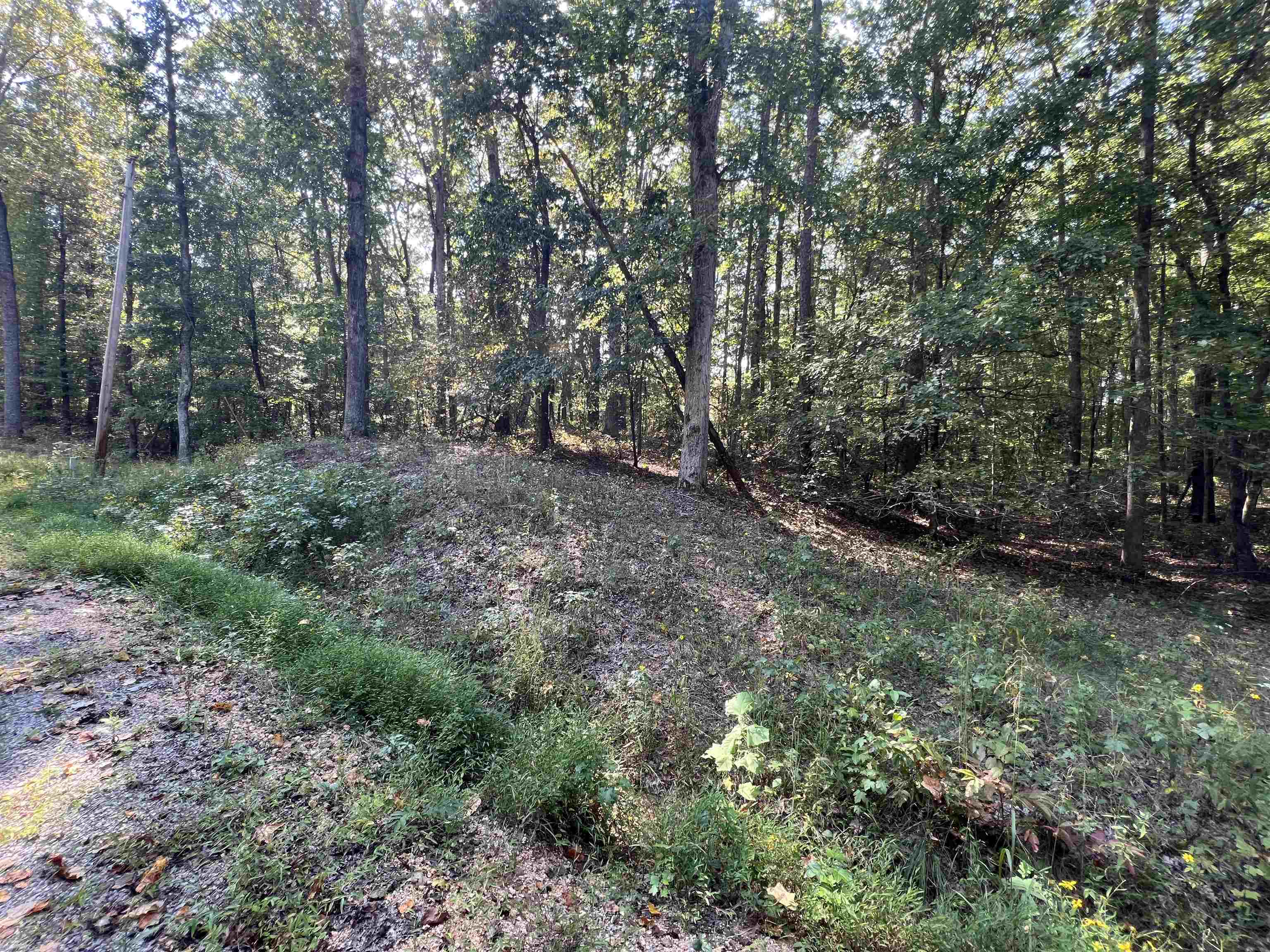 0059 Joanne Loop Property Photo 5