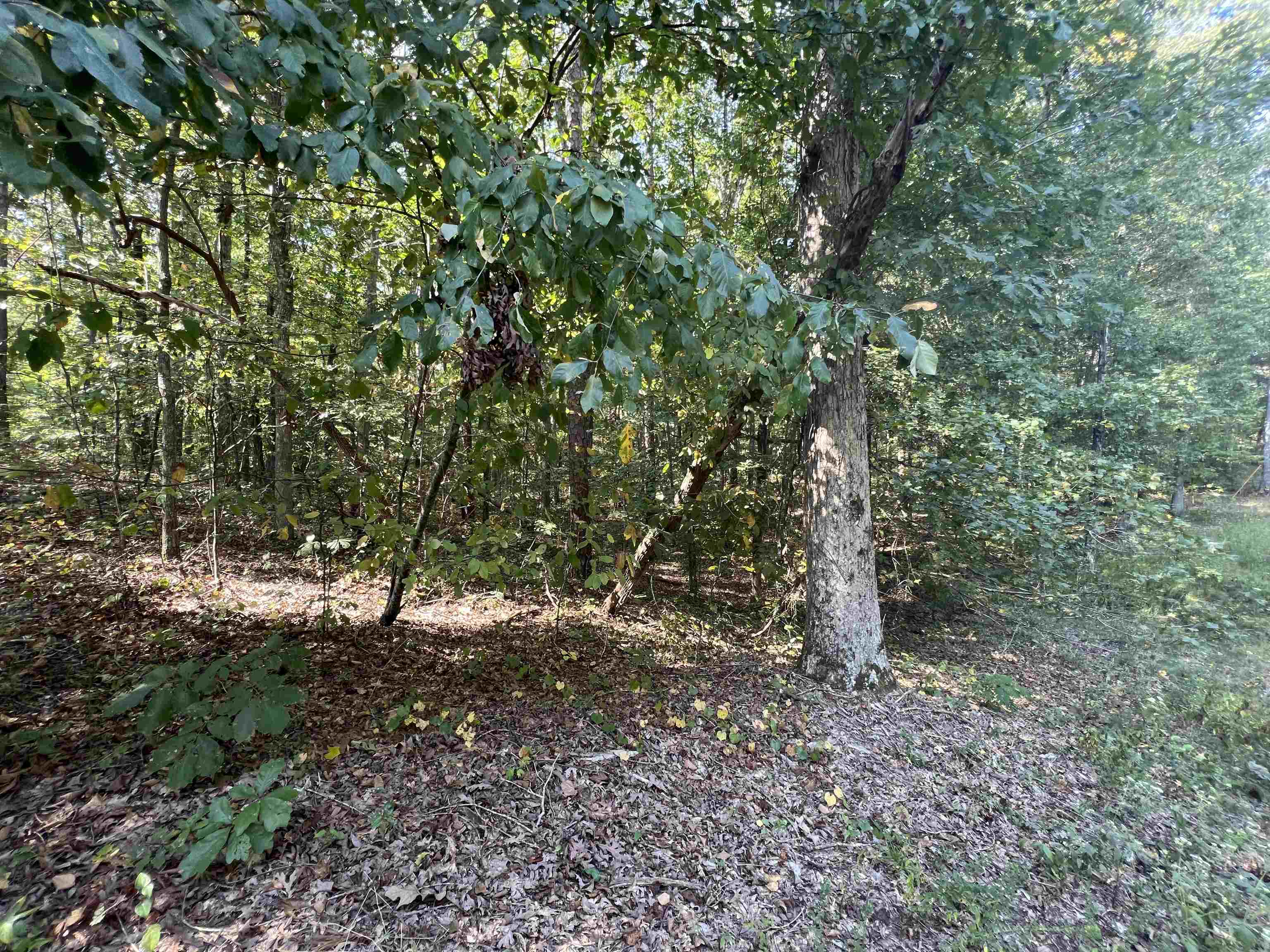 0061 Joanne Loop Property Photo 7