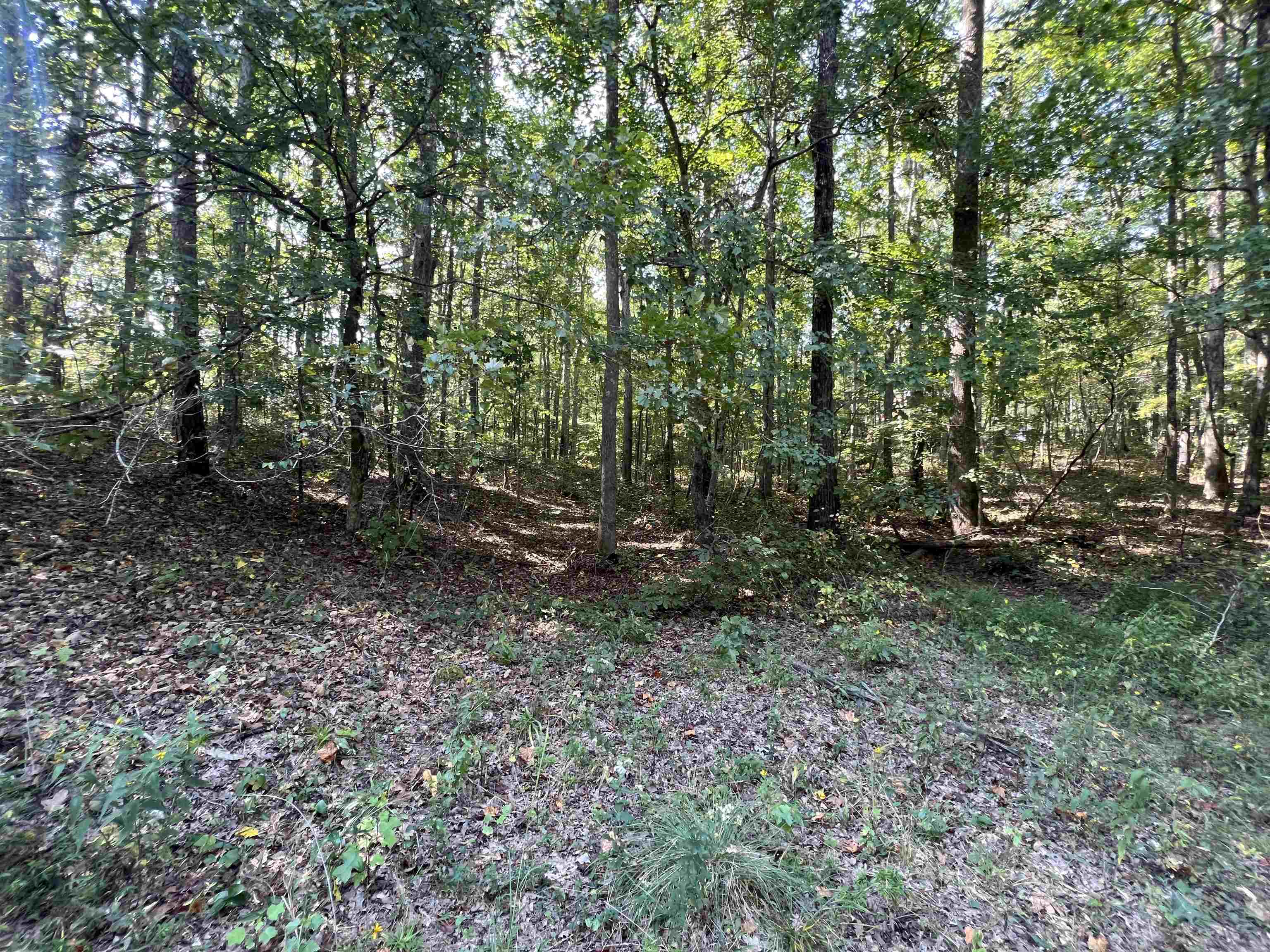 0061 Joanne Loop Property Photo 11