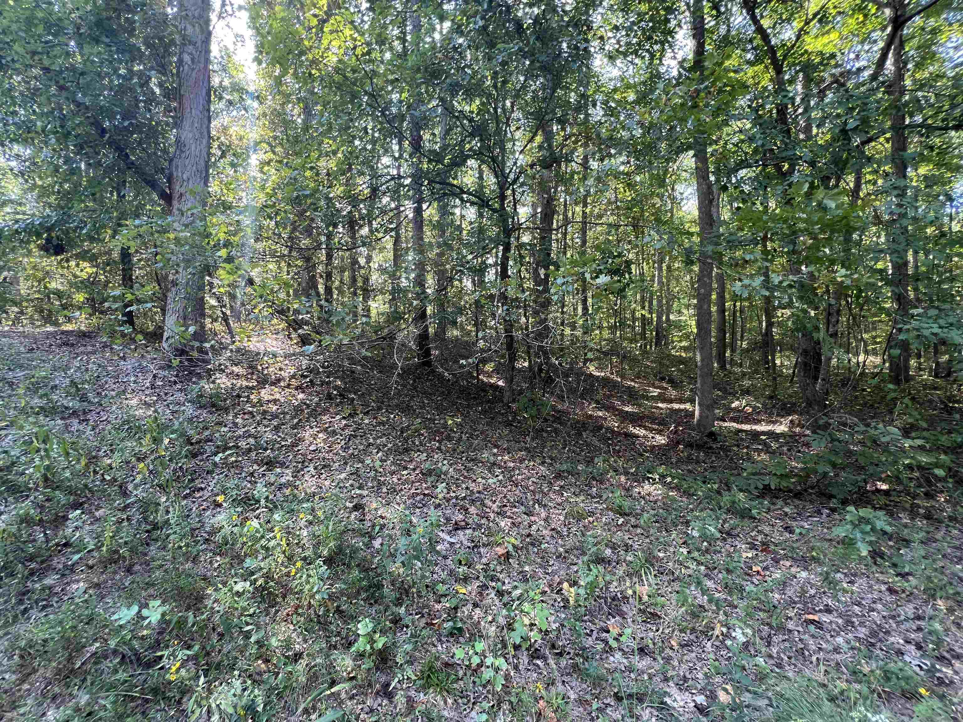 0061 Joanne Loop Property Photo 13