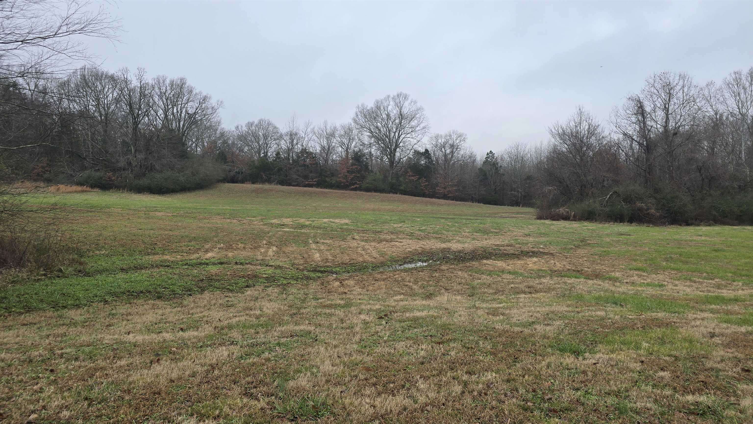 269 Monterey Mills Rd Property Photo 1