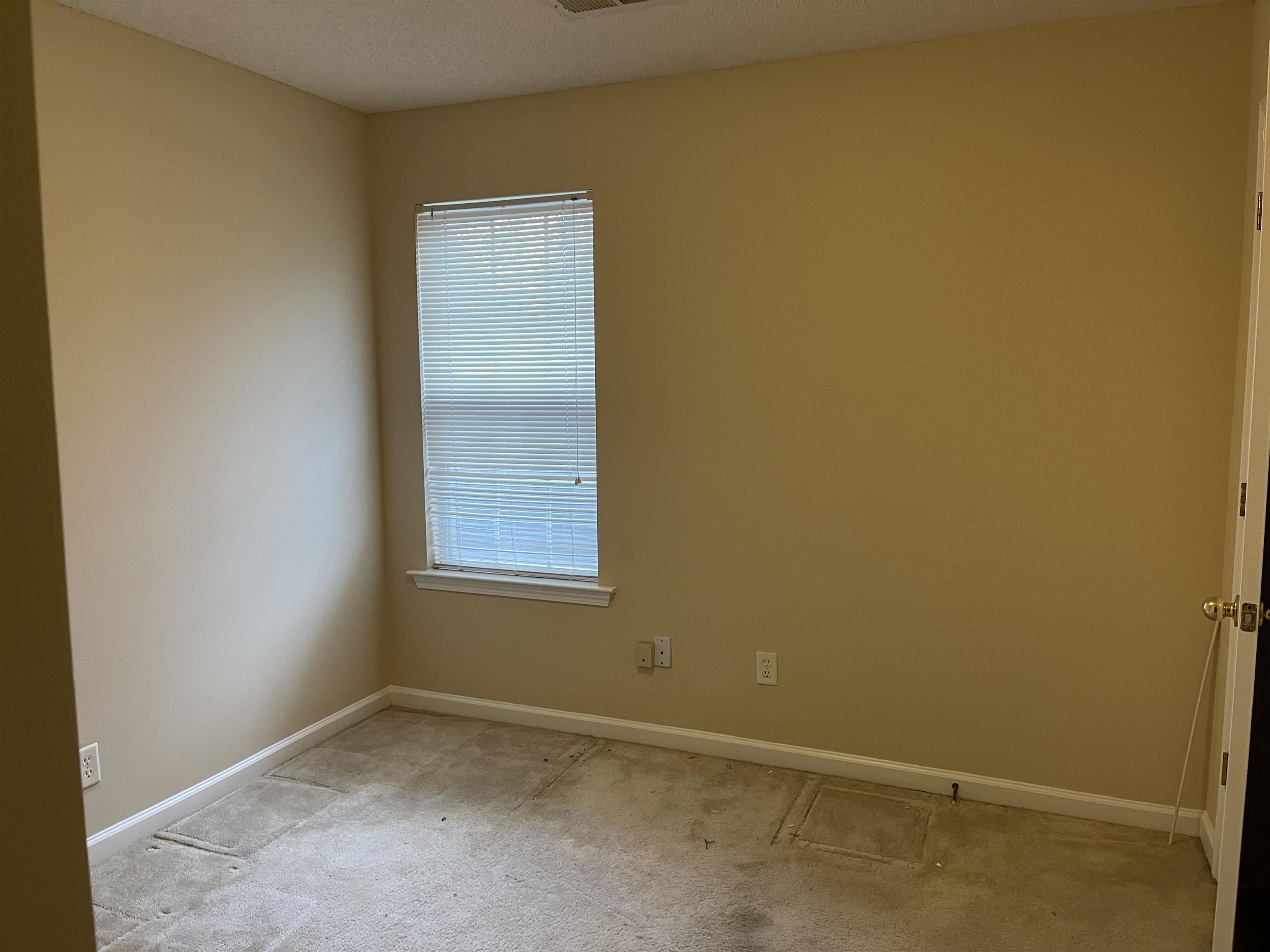 7486 Dalwhinnie Trl Property Photo 11