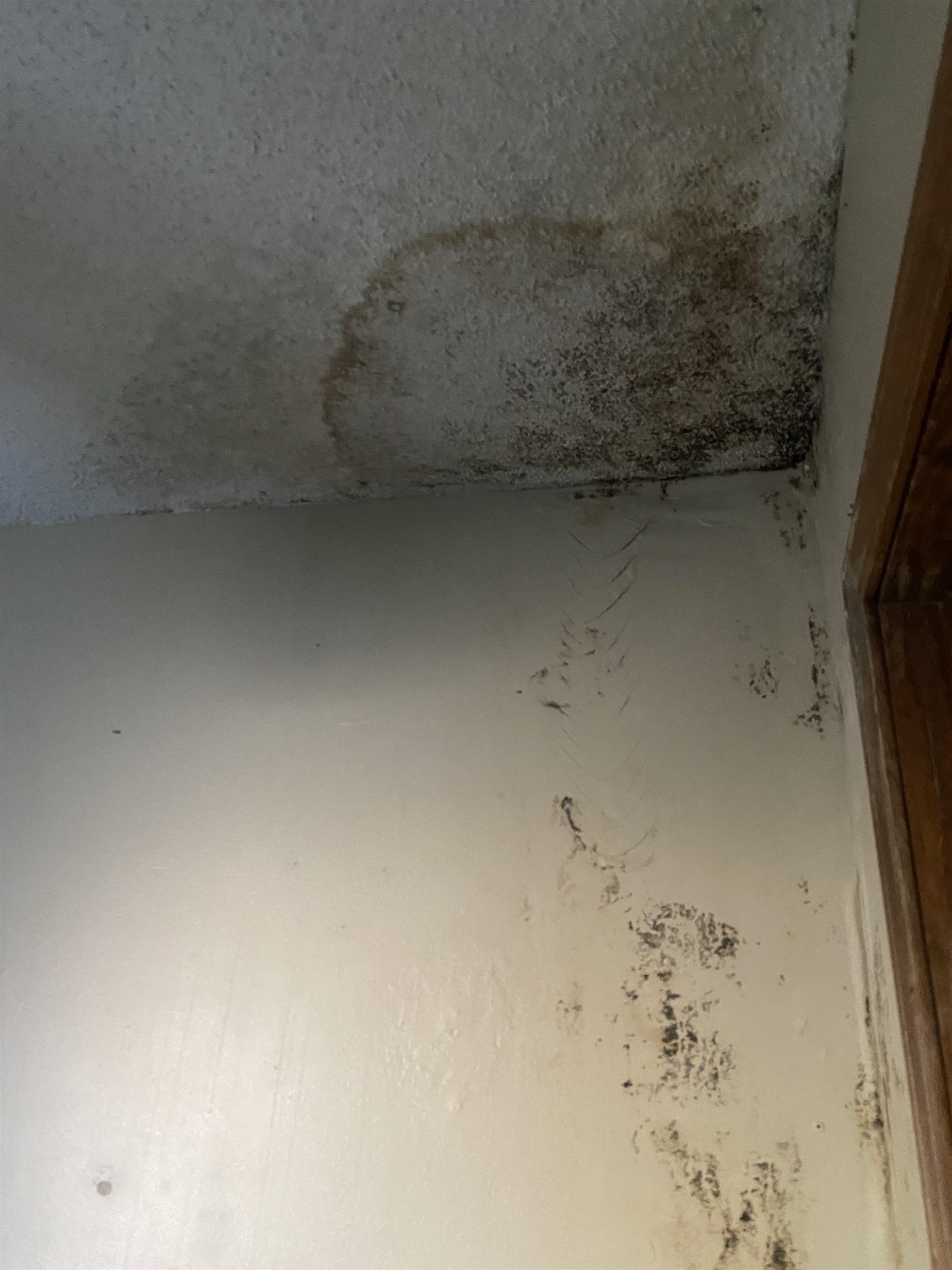 6043 Harvest Hill Cv Property Photo 28