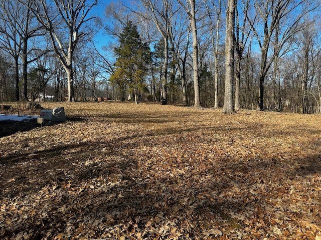 1475 Hwy 64 Hwy Property Photo 7