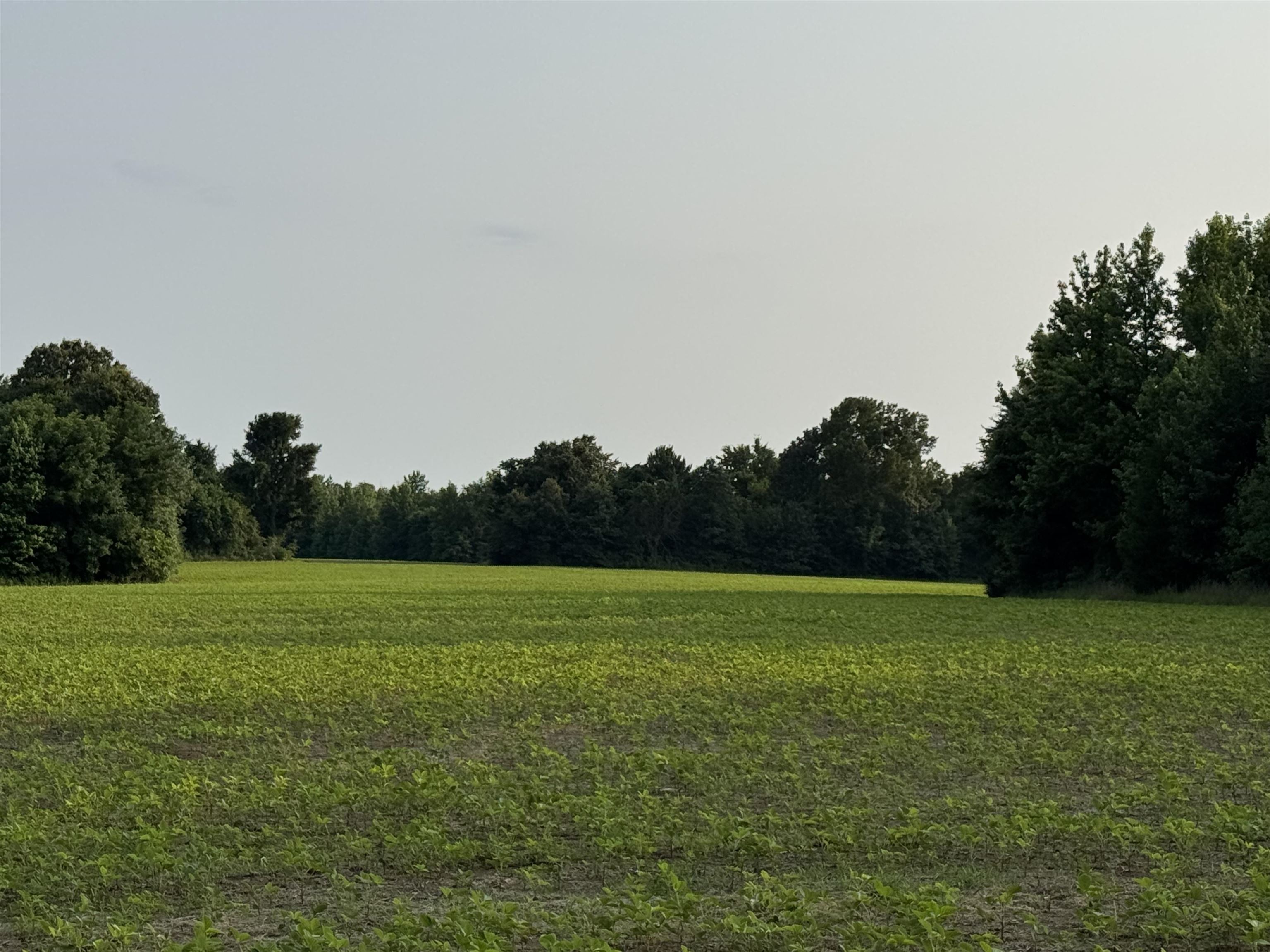 Frazier Rd Property Photo 4
