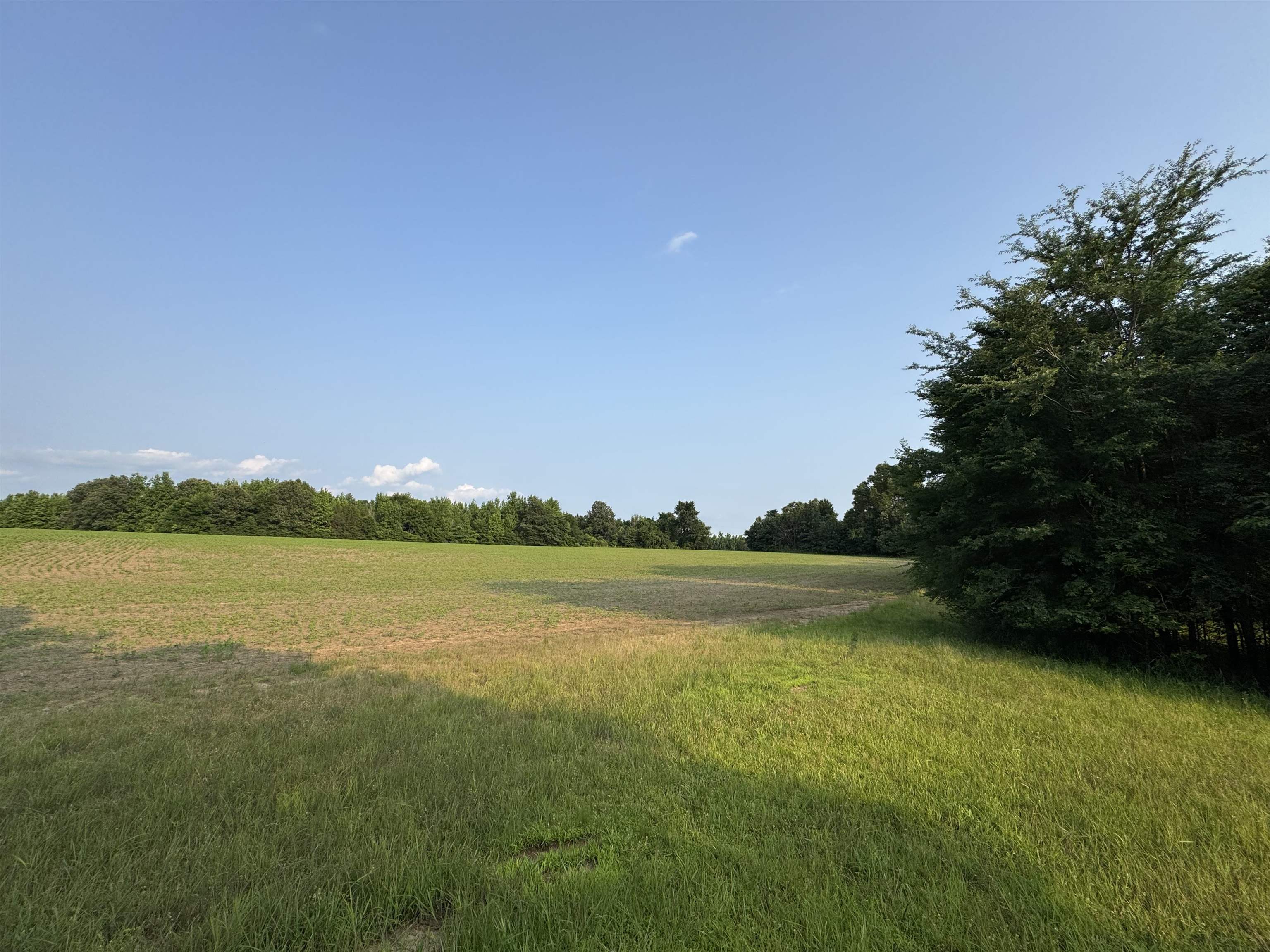 Frazier Rd Property Photo 6