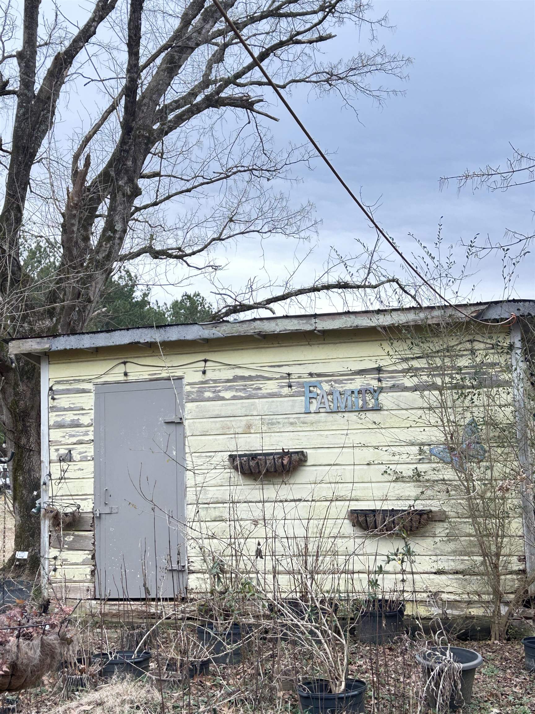 11381 Macon Rd Property Photo 6