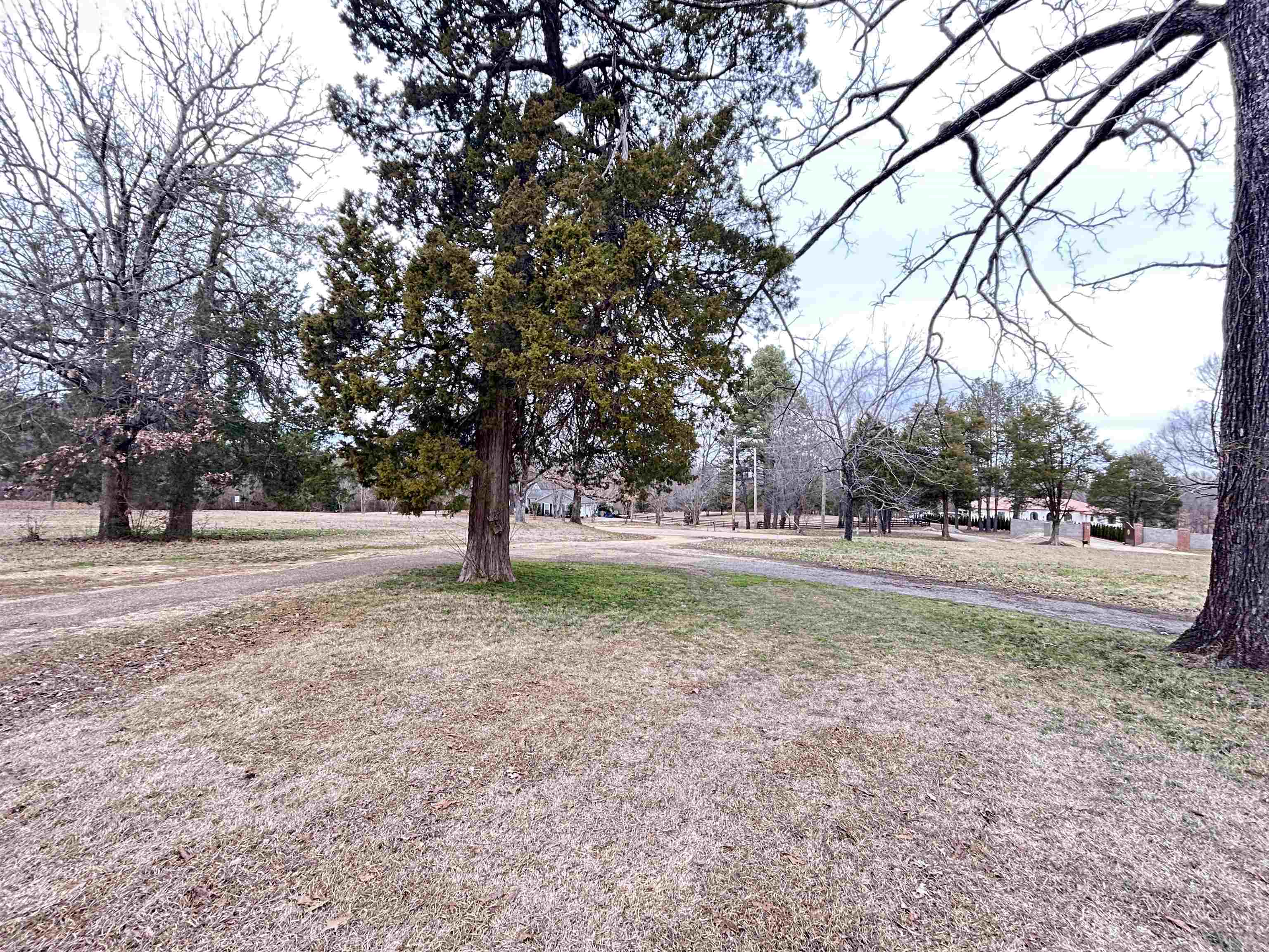 11381 Macon Rd Property Photo 8