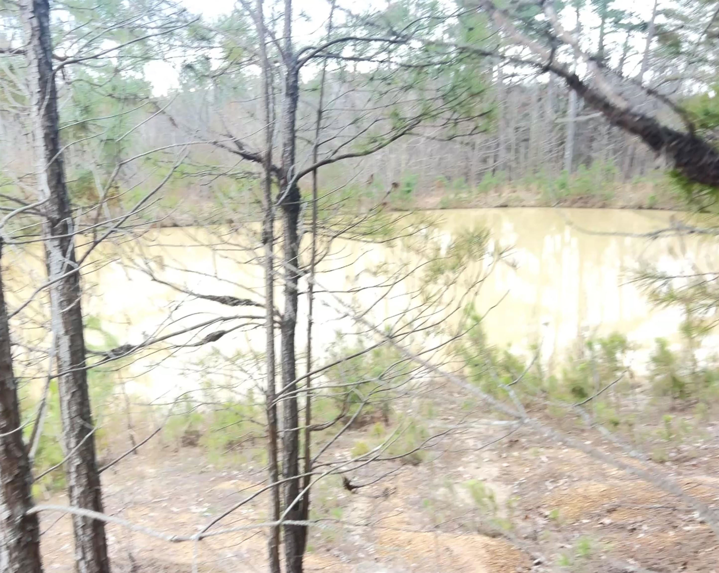 11381 Macon Rd Property Photo 12