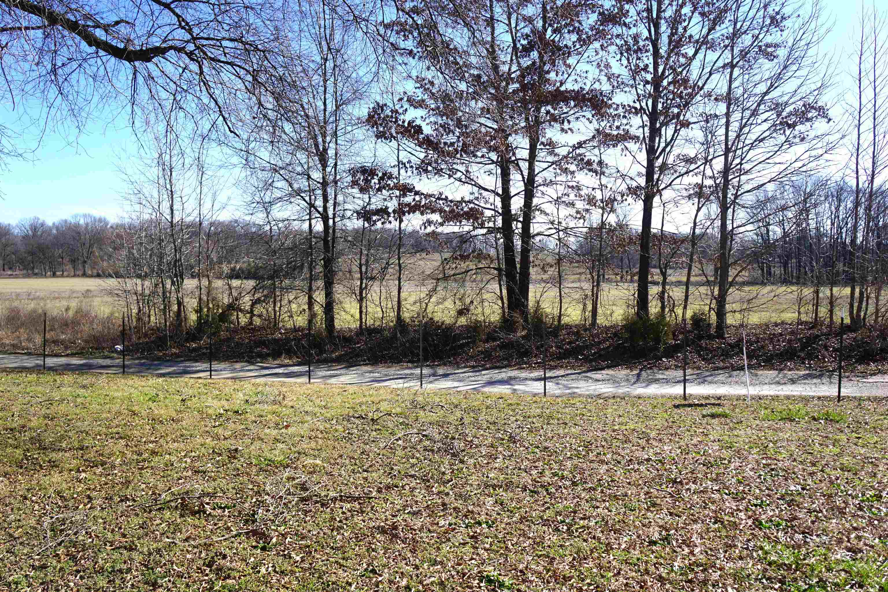 375 Emmitt Culberth Ln Property Photo 4
