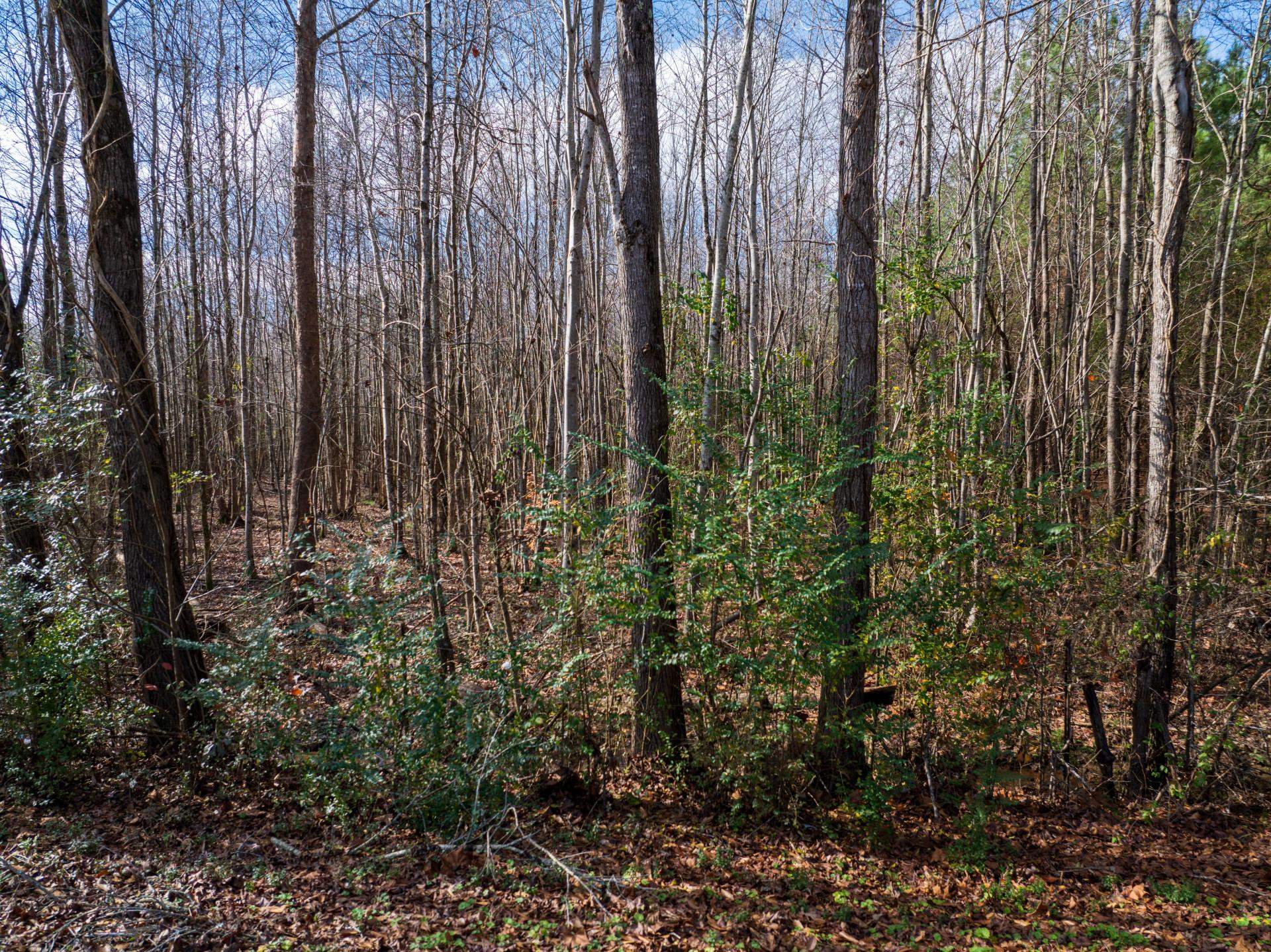 0 County Road 992 Rd Property Photo 14