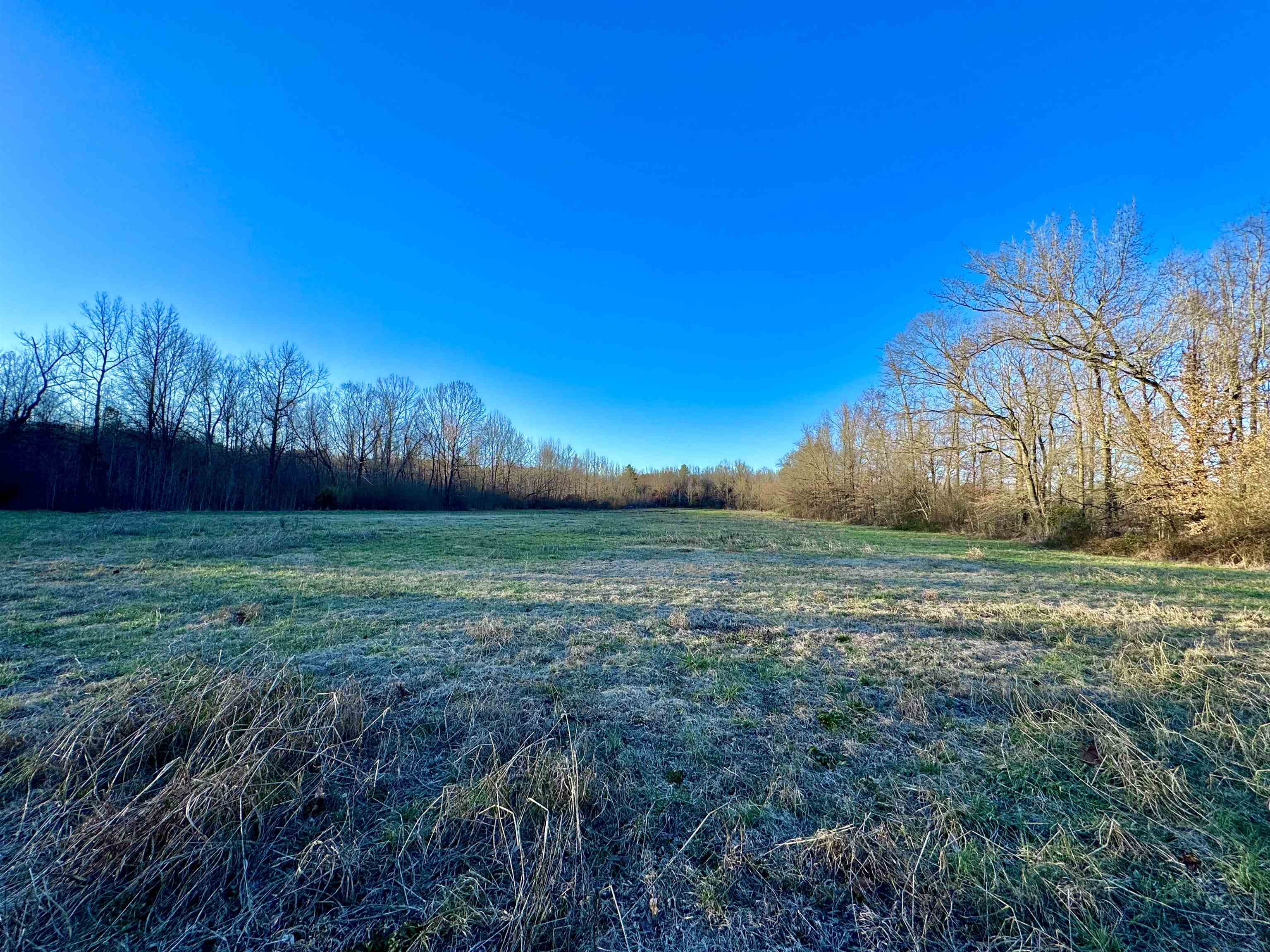 0 Highway 125 Hwy Property Photo 15