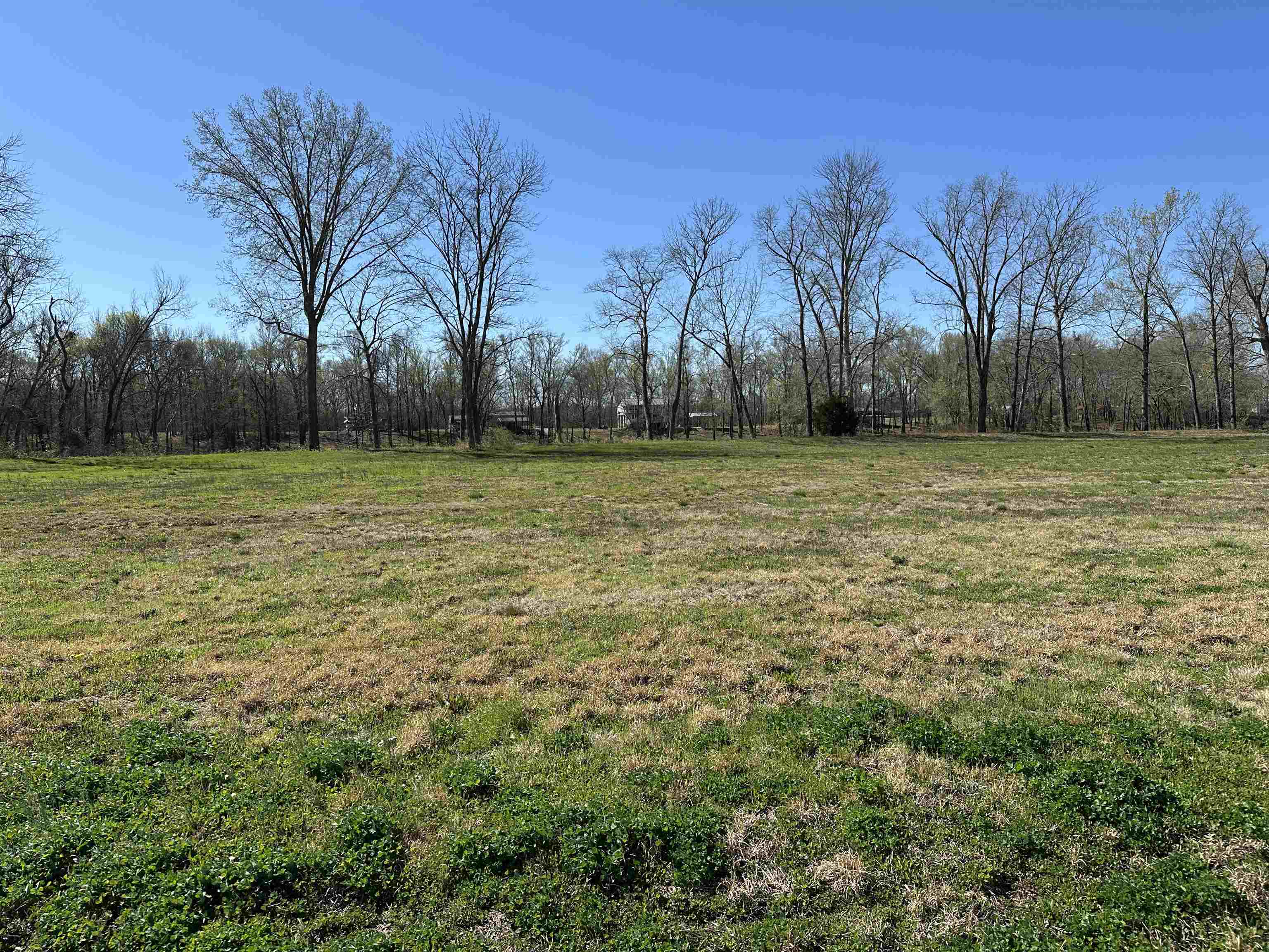 110 Cravens Rd Property Photo 6