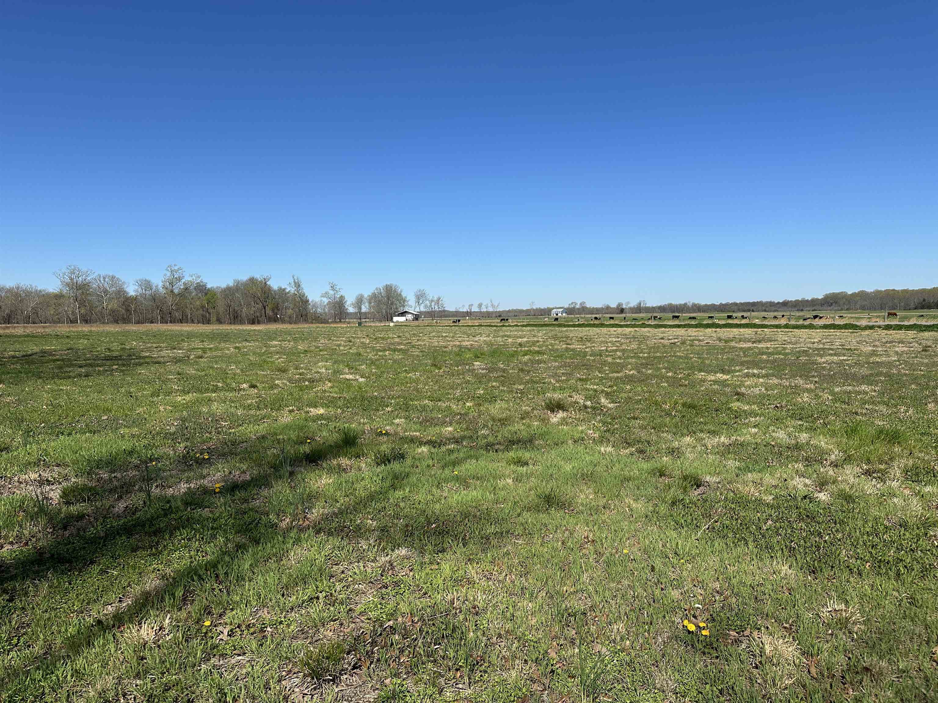 110 Cravens Rd Property Photo 22