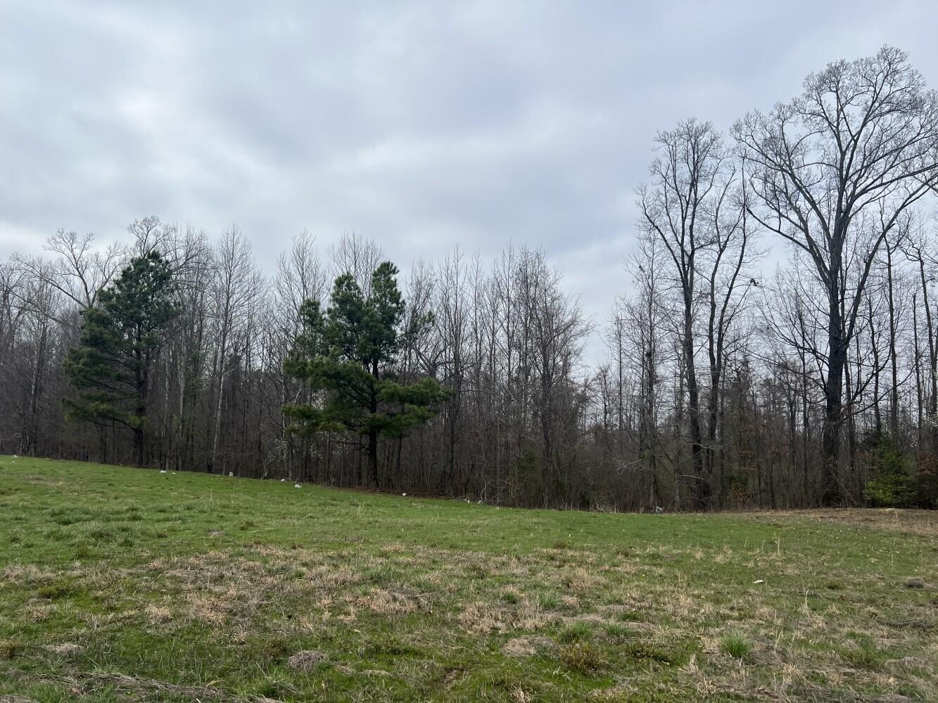 0 Singleton Park Property Photo 6