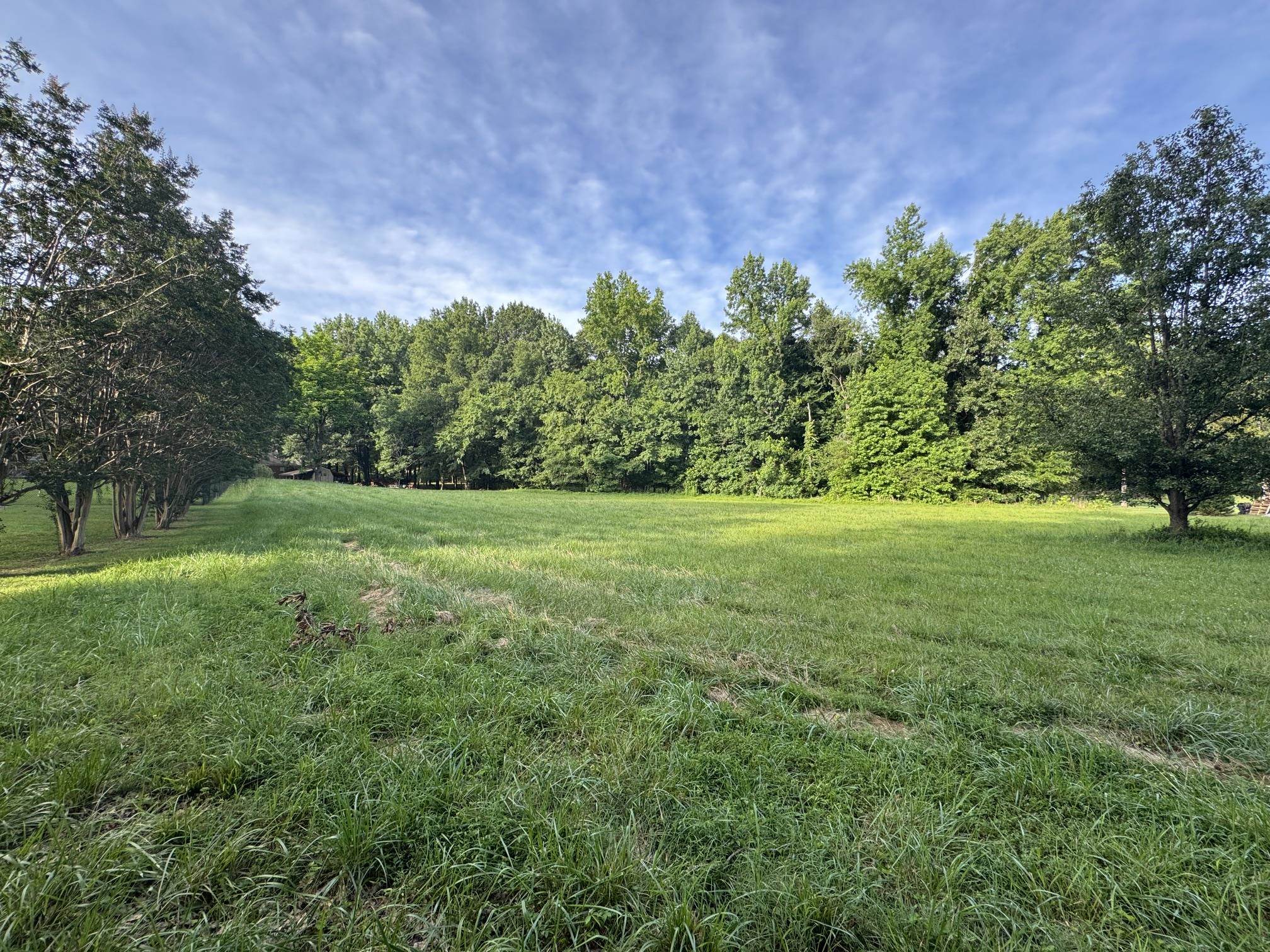 0 CATALPA DR Property Photo 1