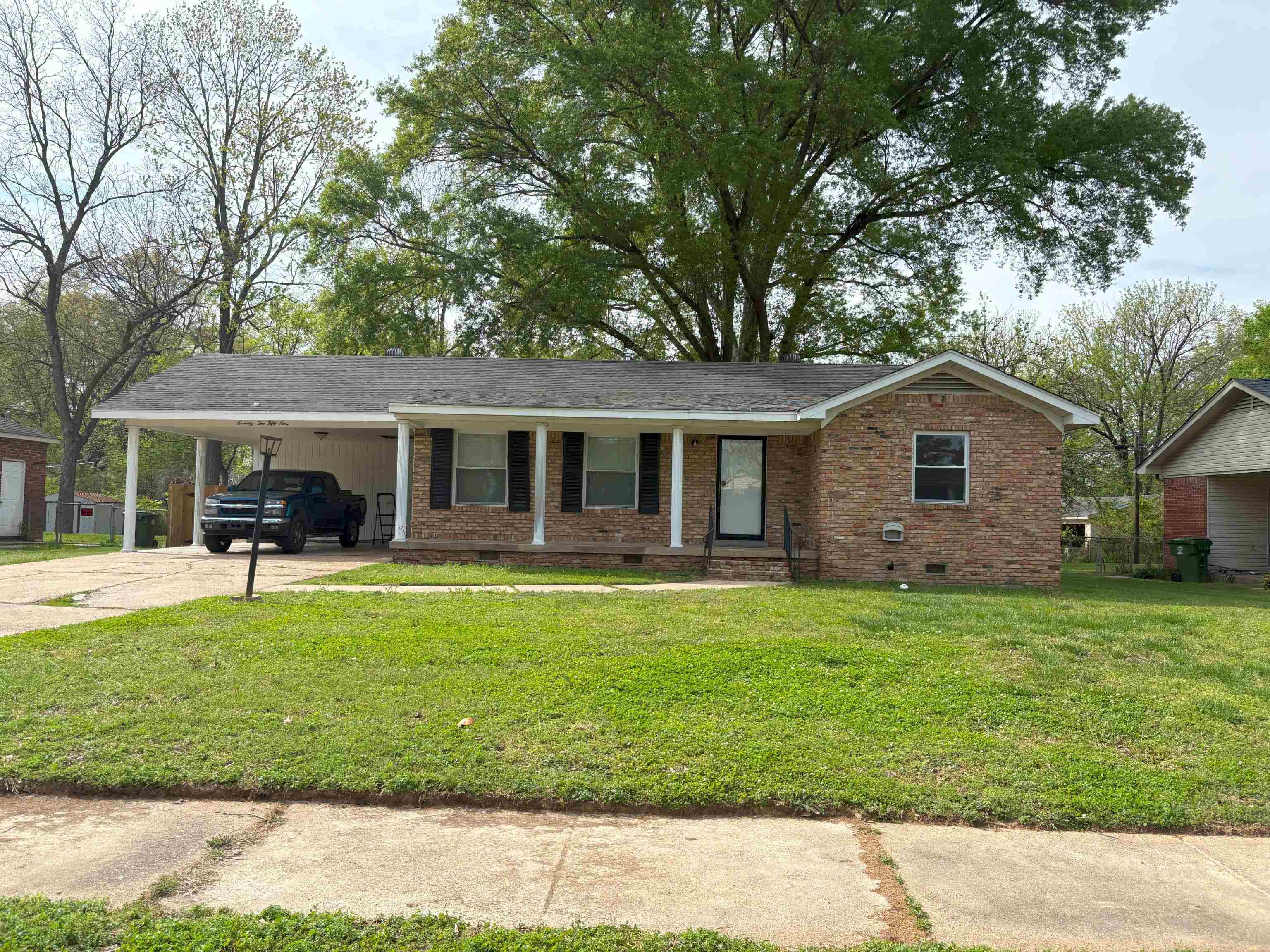 7259 Renda St Property Photo 1
