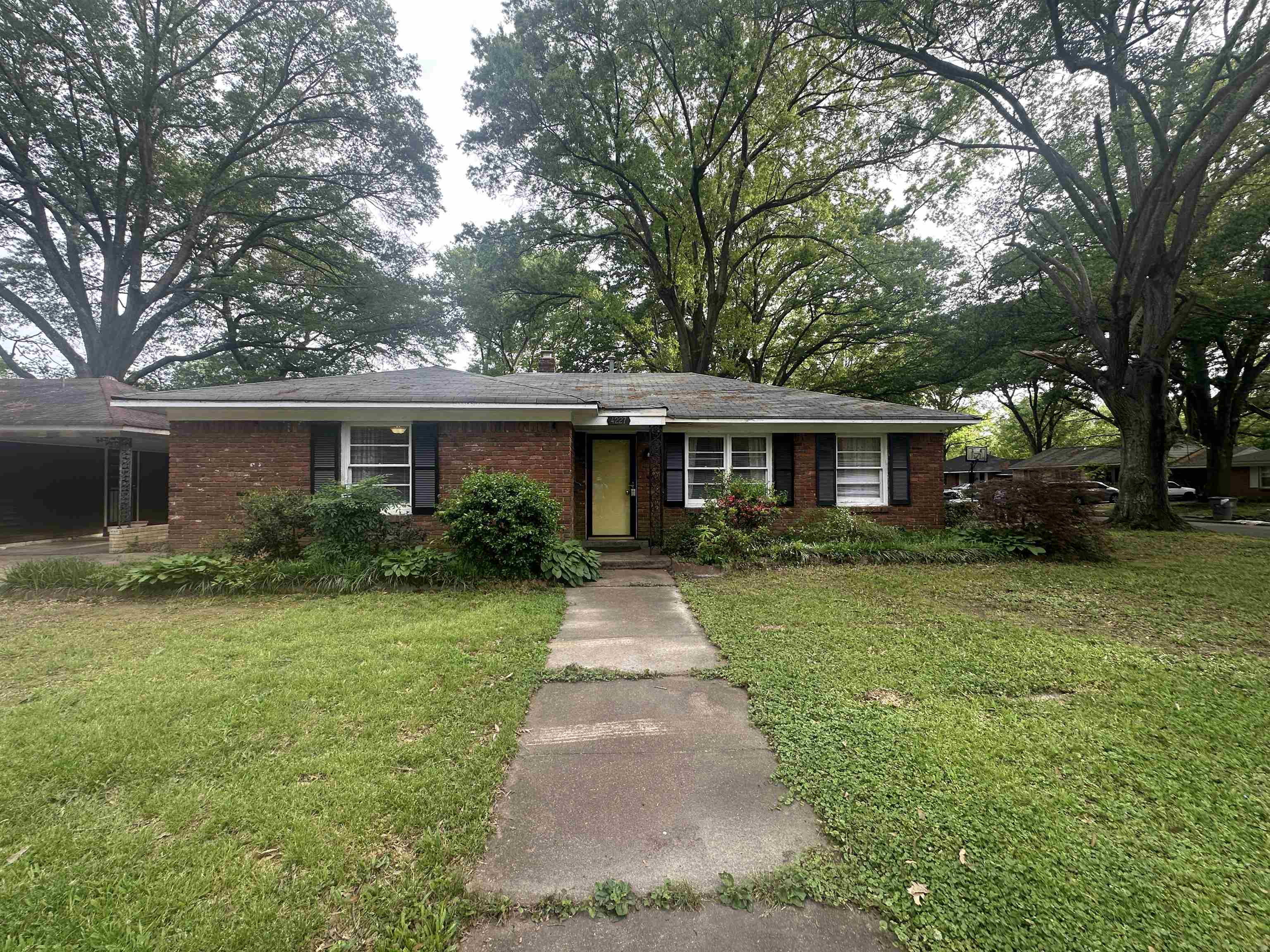 4227 Carolyn Dr Property Photo 1