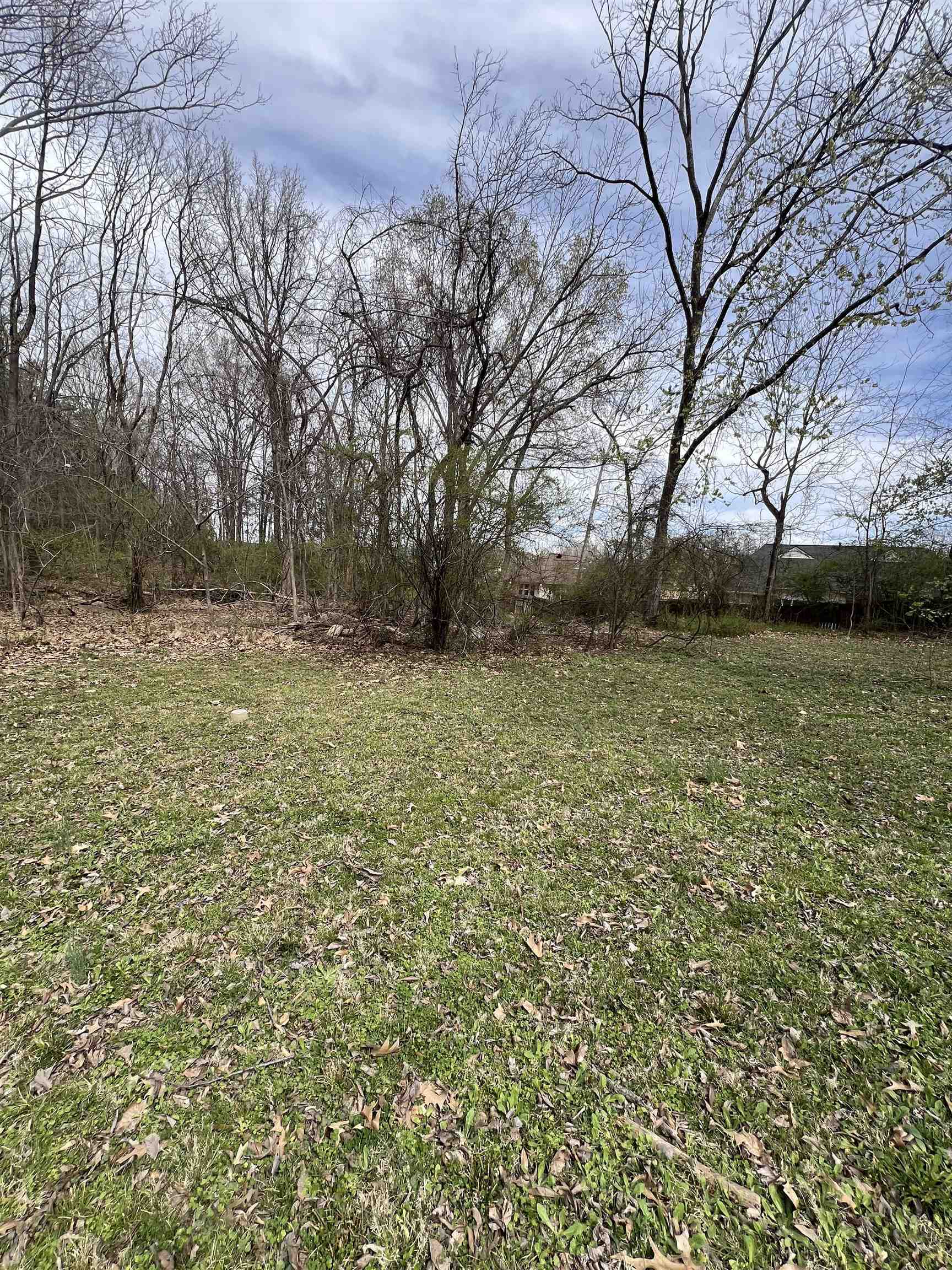 4382 Ellendale Rd Property Photo 1