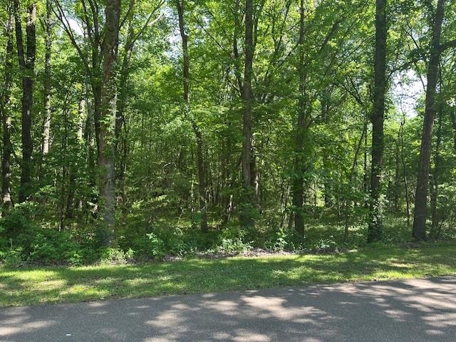 0 Old Creek Rd Property Photo 2