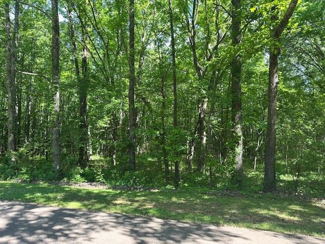 0 Old Creek Rd Property Photo 4