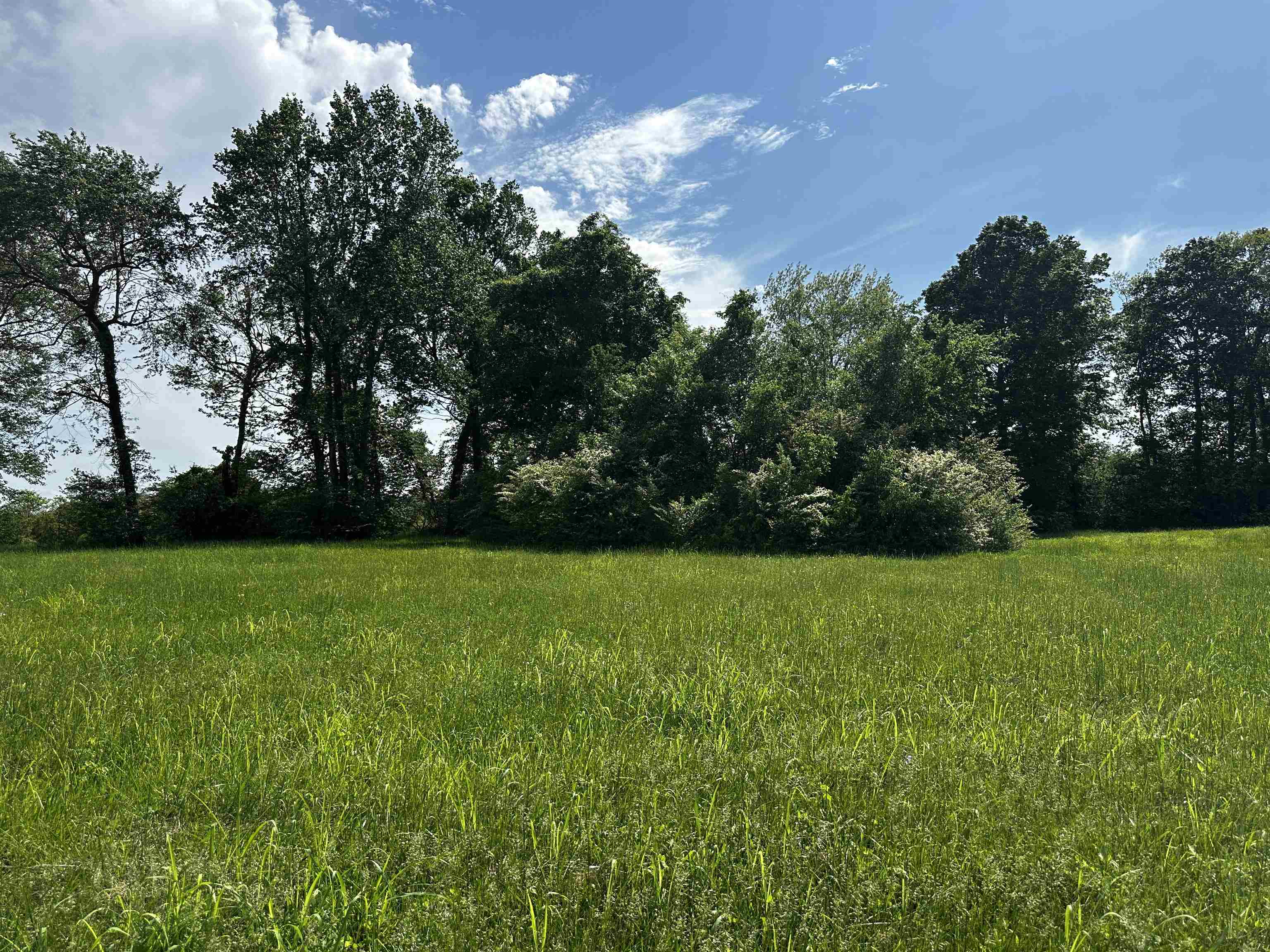 Lot 21 Catfish Ln Property Photo 4