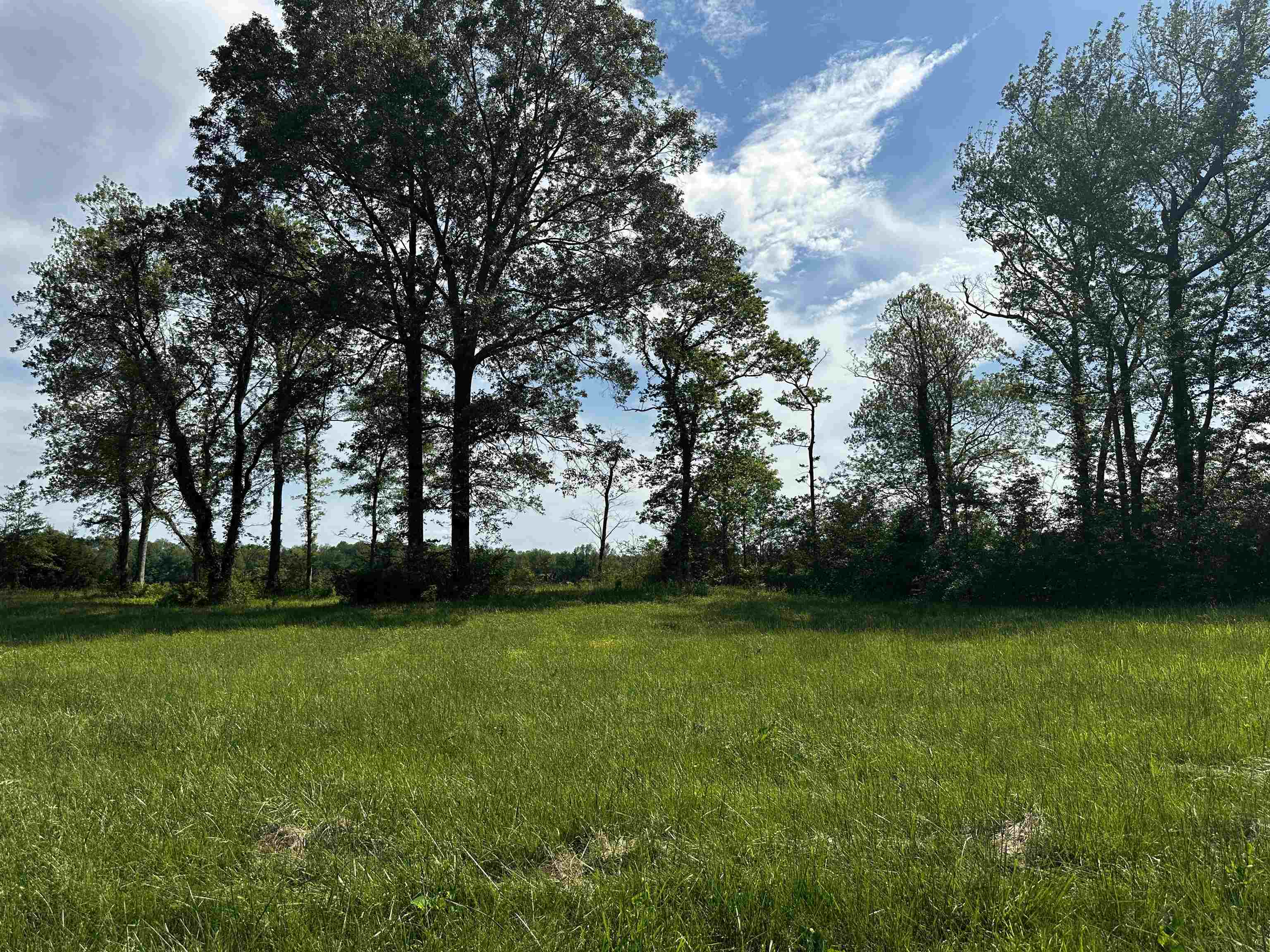 Lot 29 Catfish Ln Property Photo 3