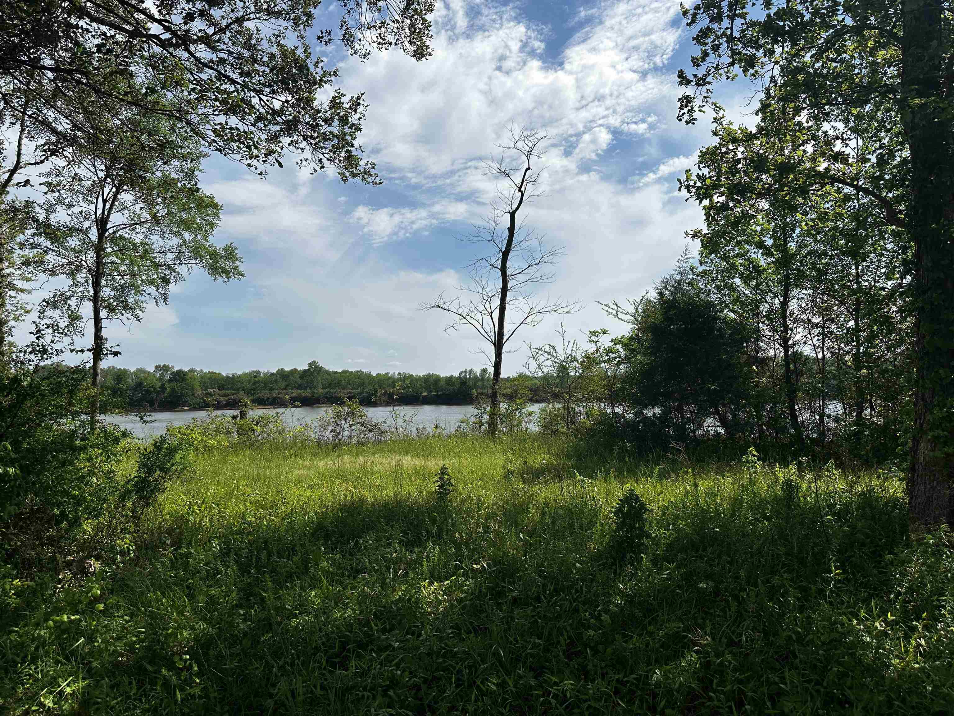 Lot 29 Catfish Ln Property Photo 4