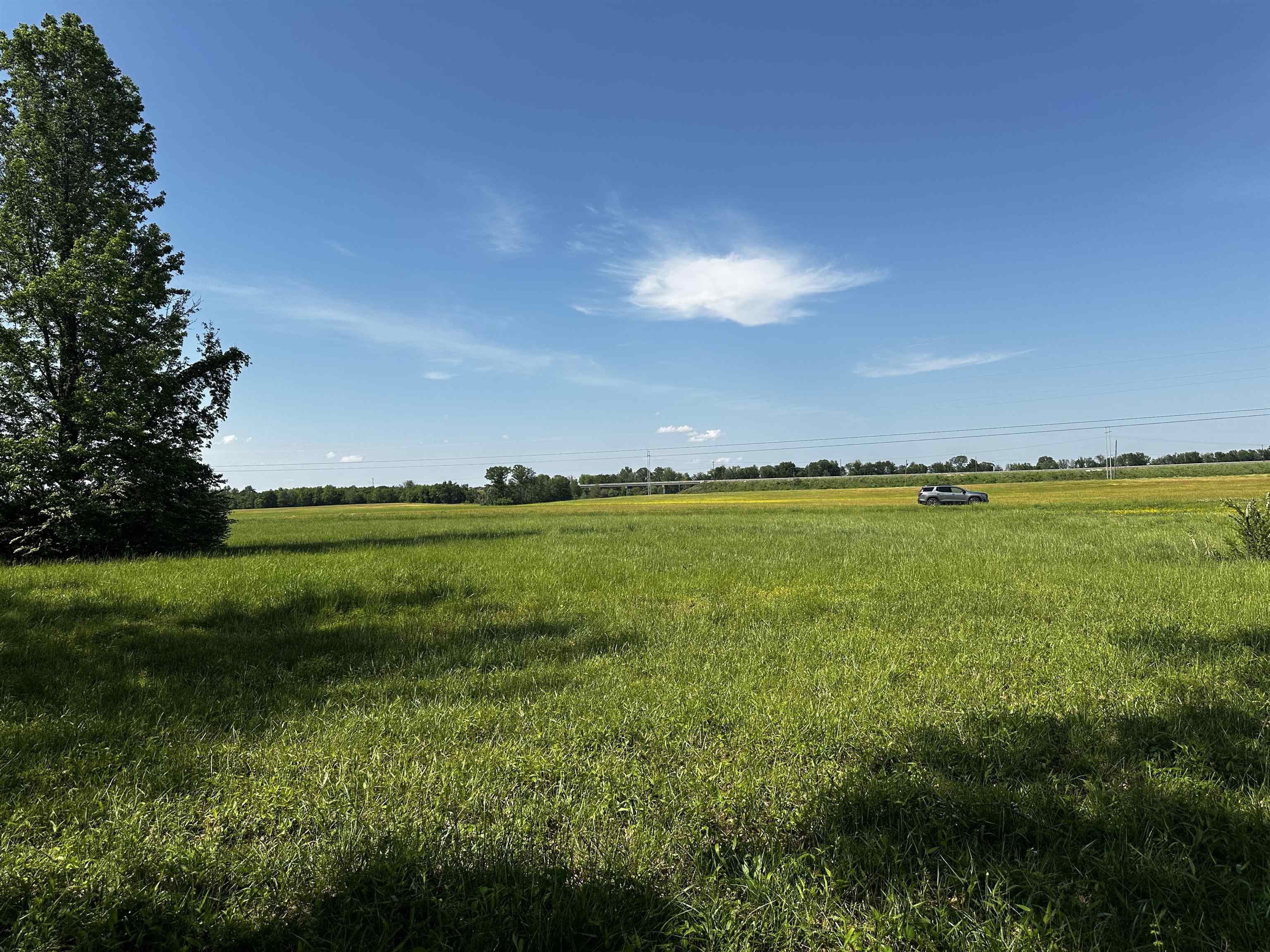 Lot 29 Catfish Ln Property Photo 6