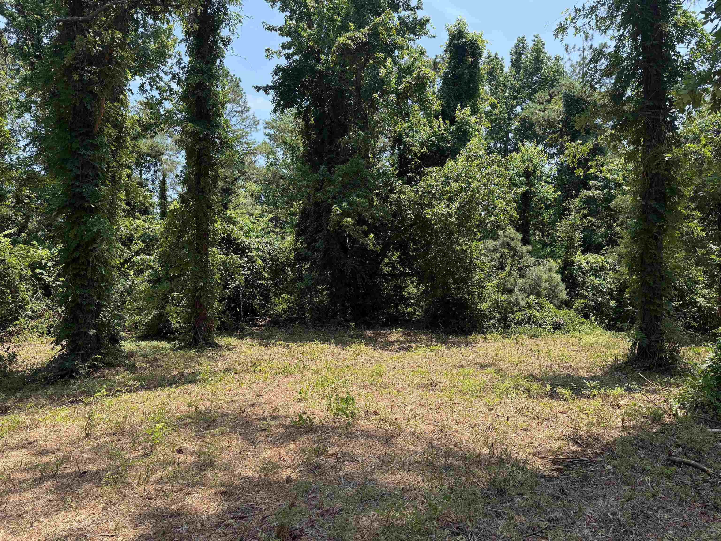 0 Highway 57 Hwy Property Photo 2