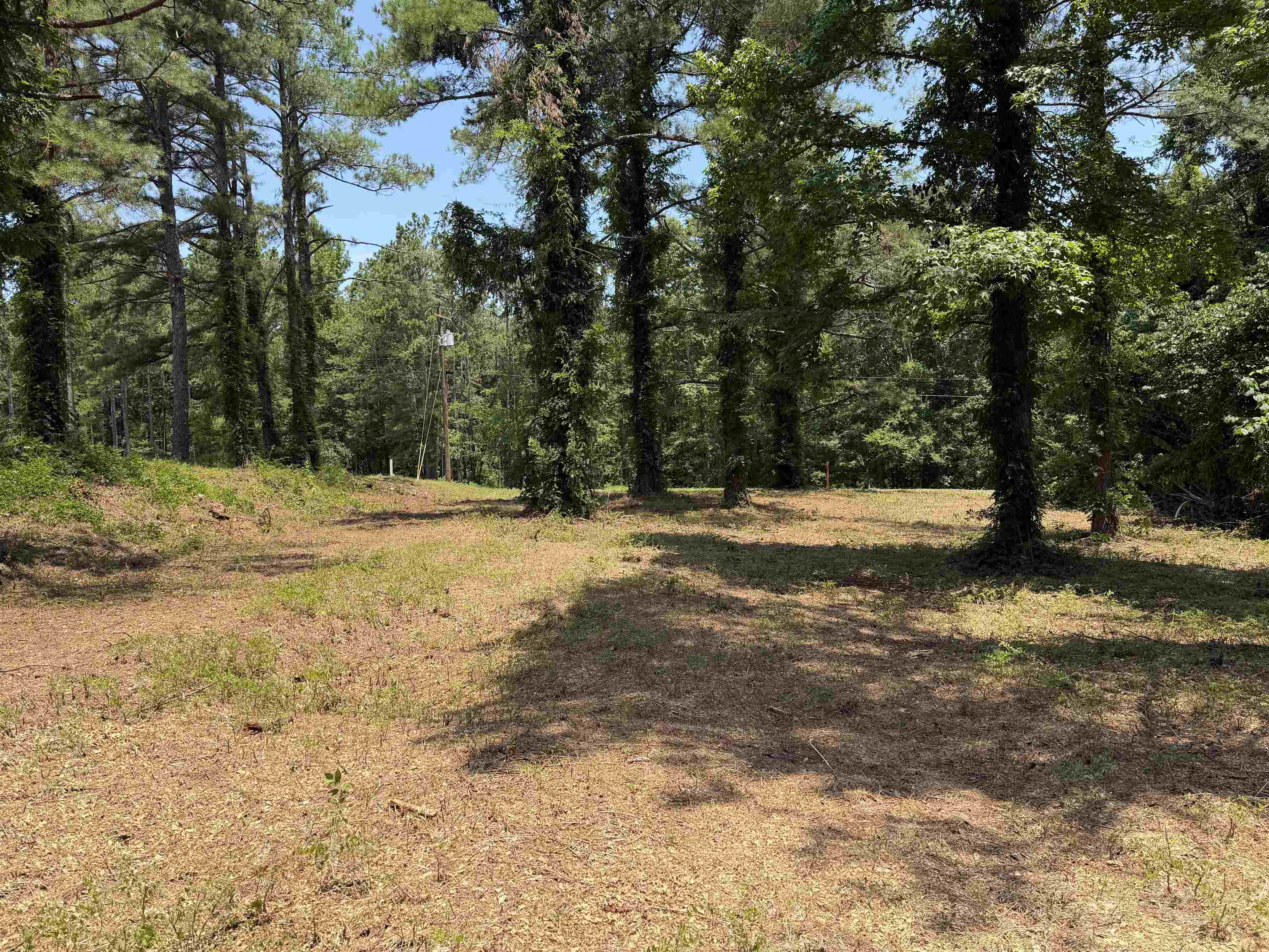 0 Highway 57 Hwy Property Photo 3